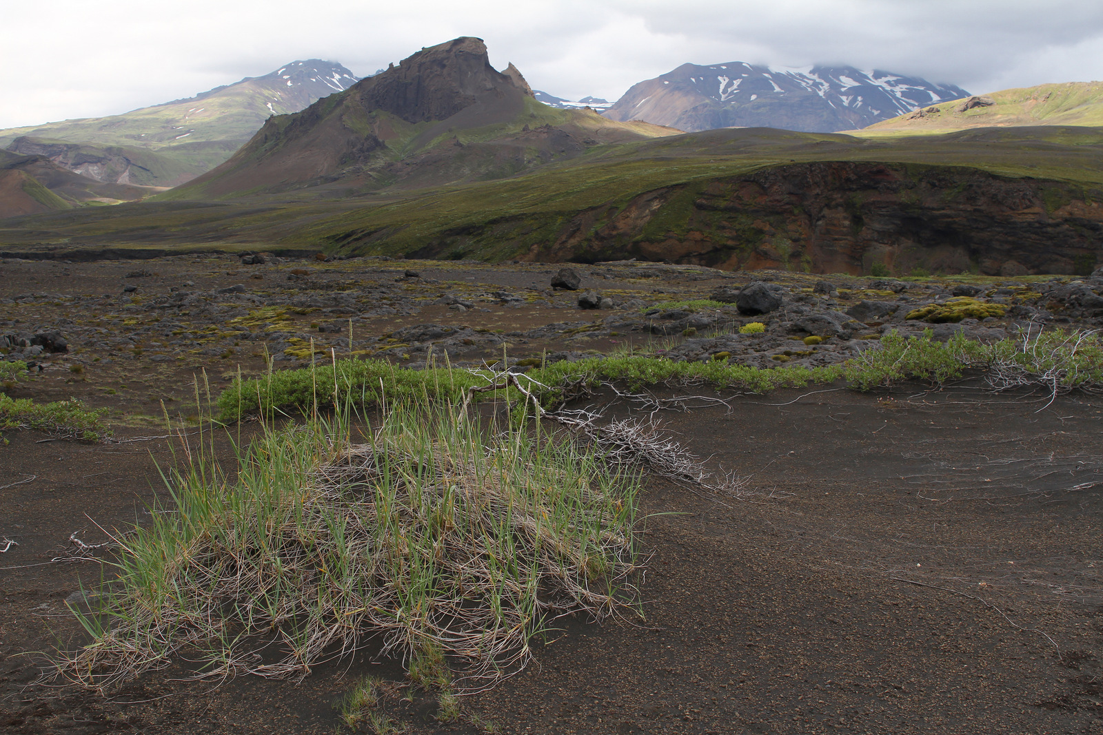 Trek du Laugavegur (juillet 2014)