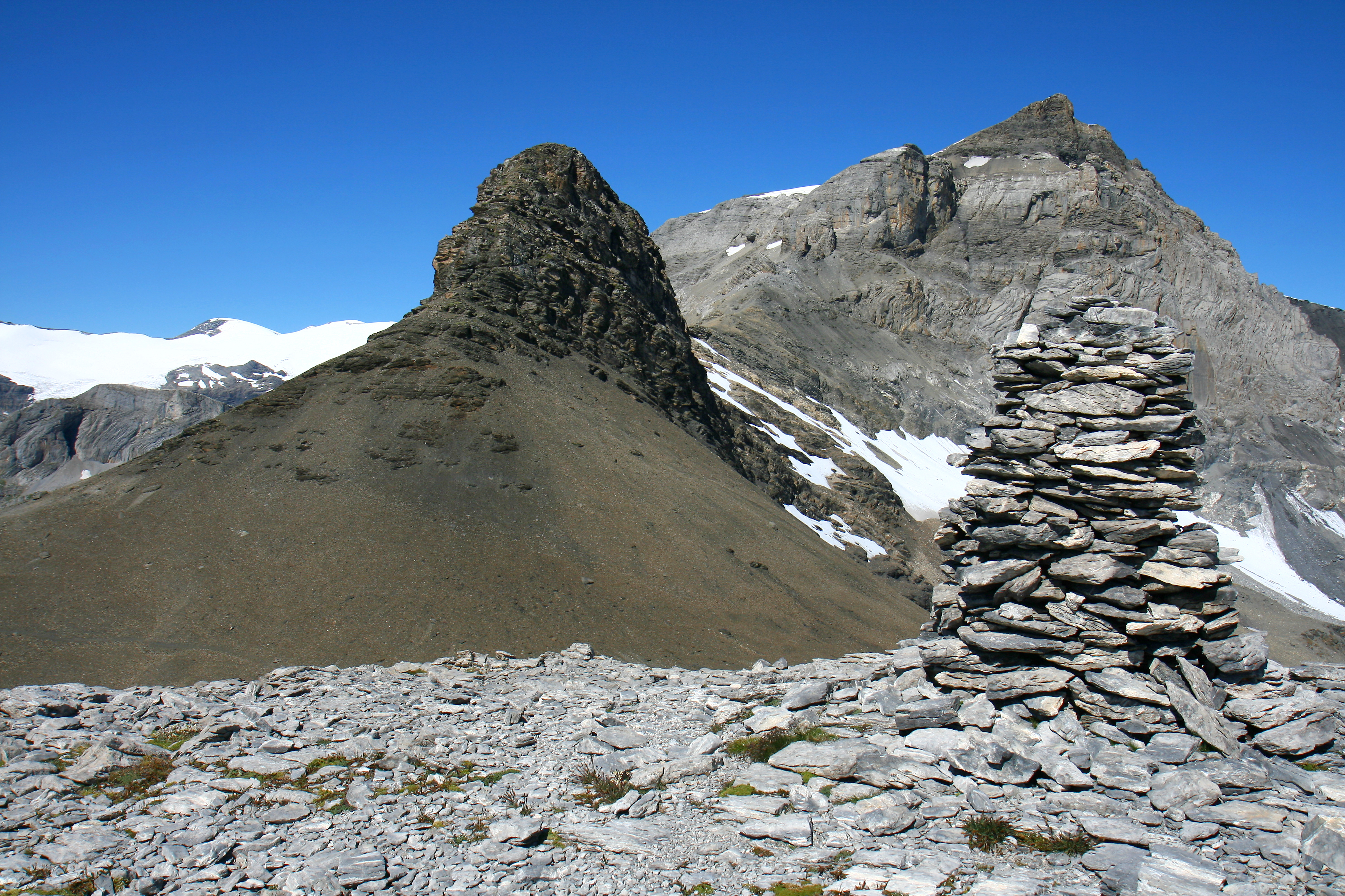 Rote Totz (août 2014)