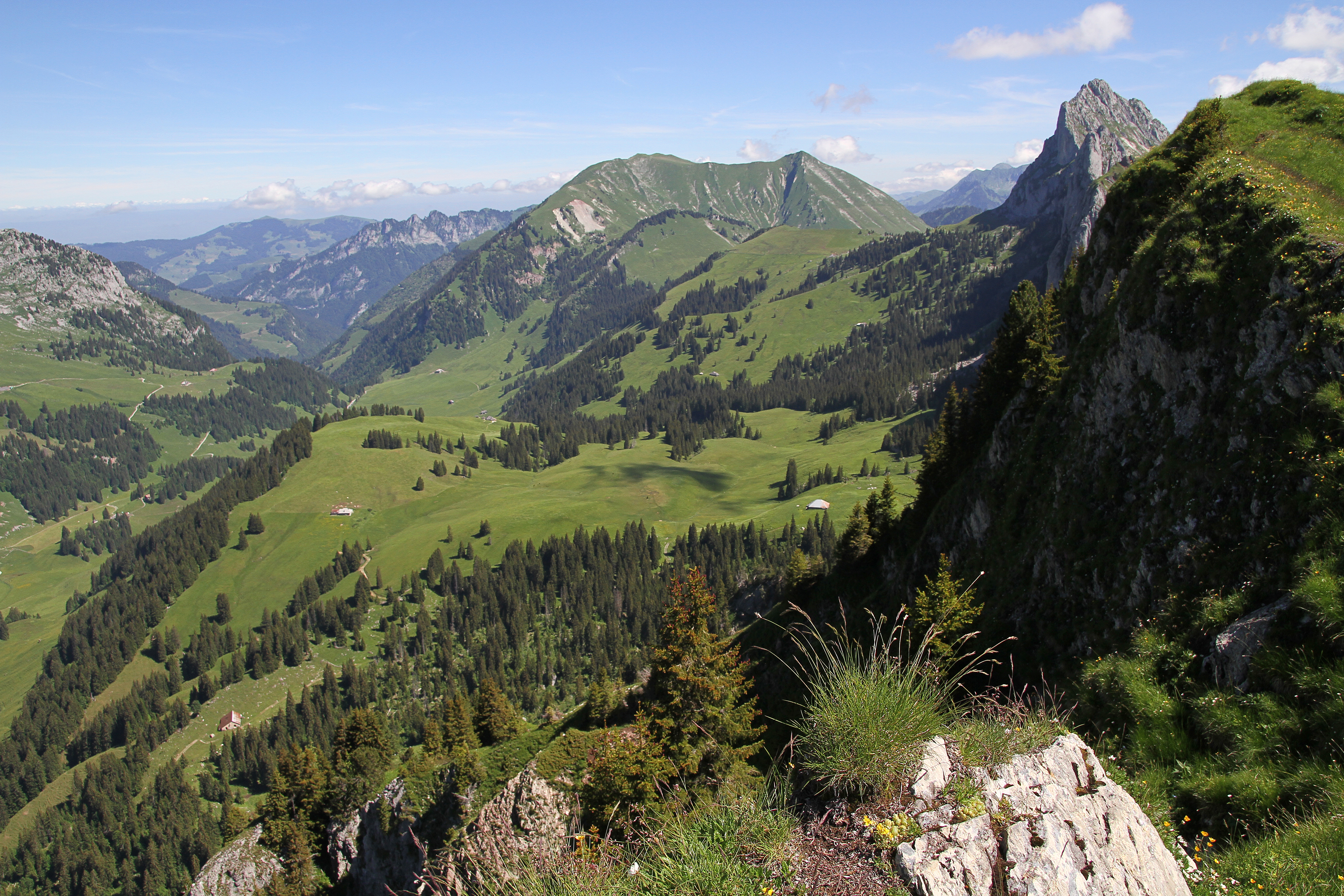 Rochers-des-Rayes (juillet 2016)
