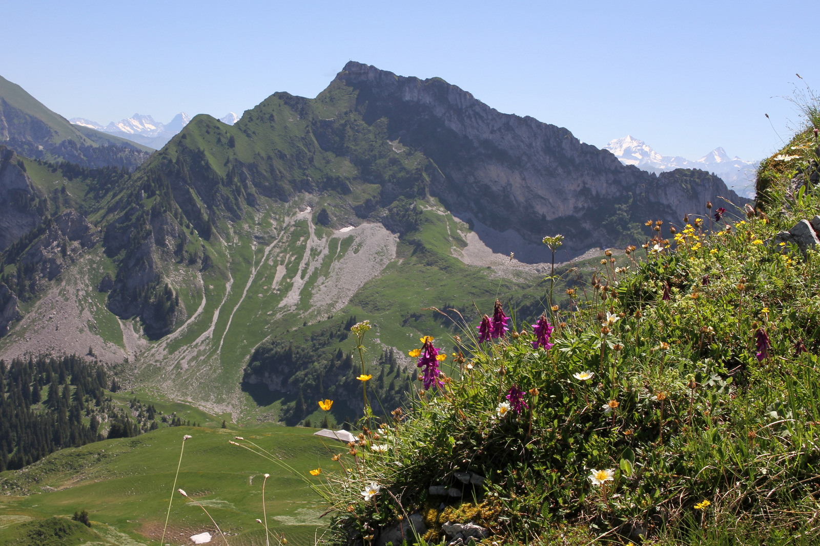 Schopfenspitz – Gros Brun (juin 2017)