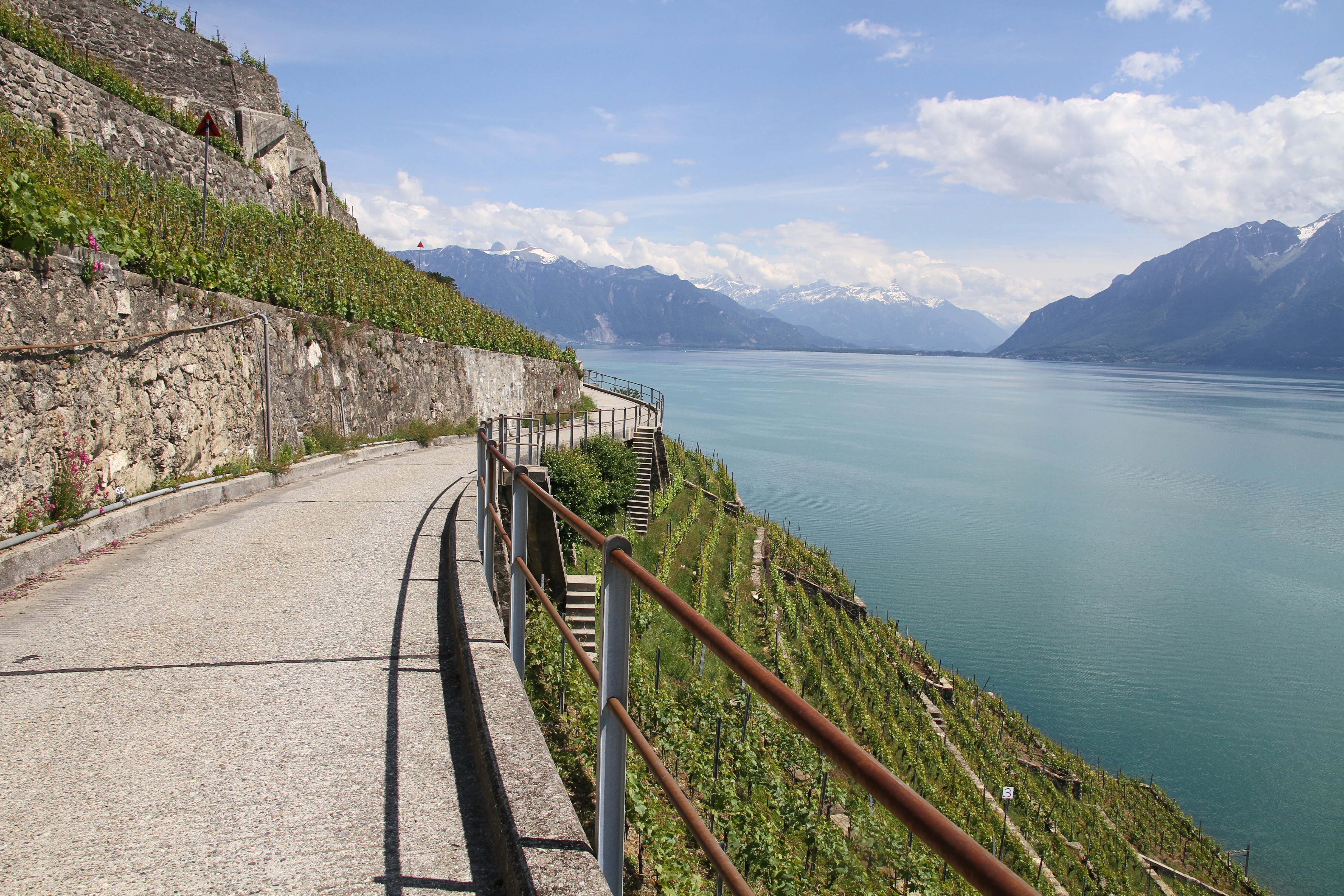 Les Terrasses de Lavaux (mai 2018)