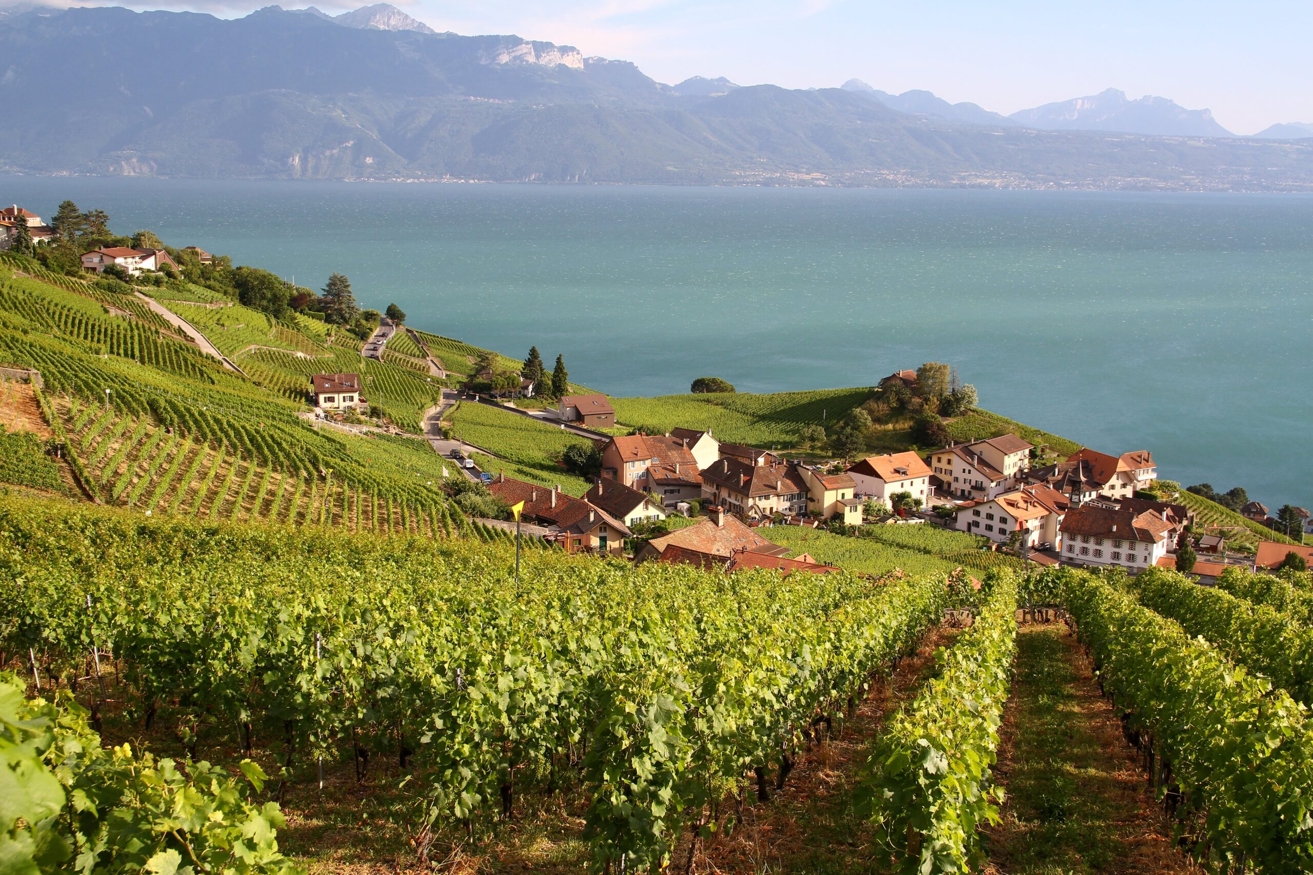Lavaux : Aran-Villette (juin 2018)