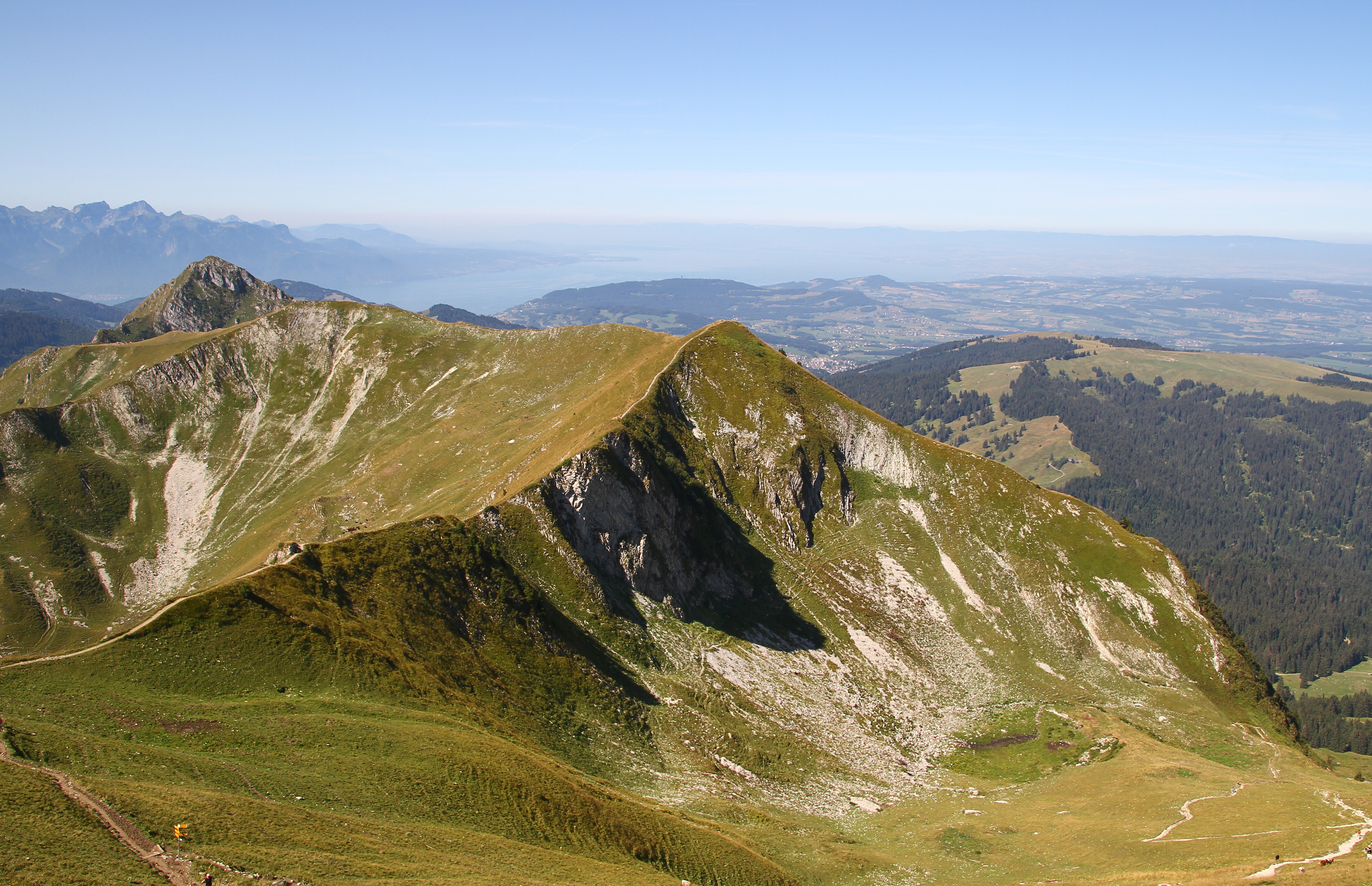 Crête de Moléson (août 2018)