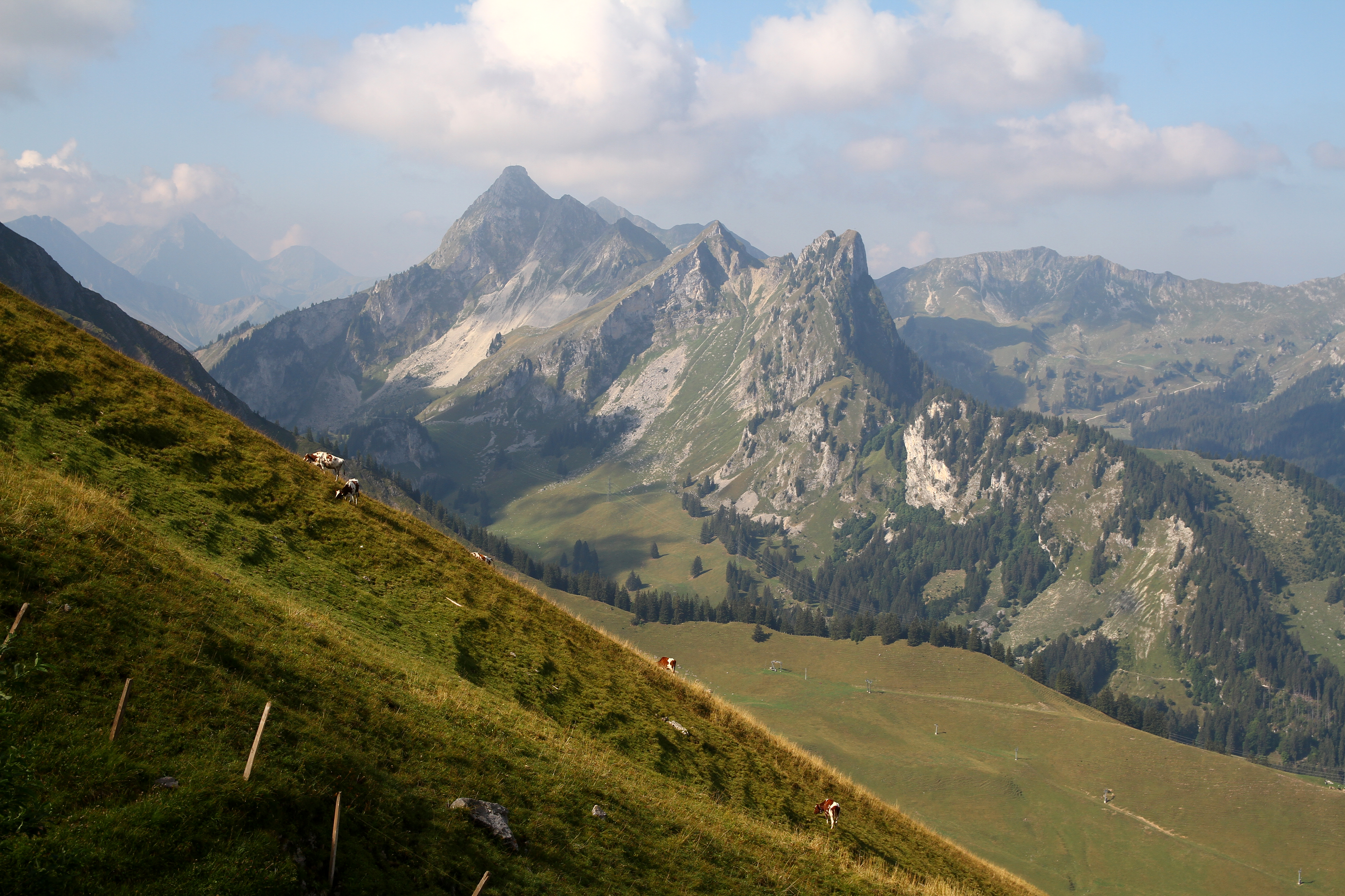 Kaiseregg (août 2018)