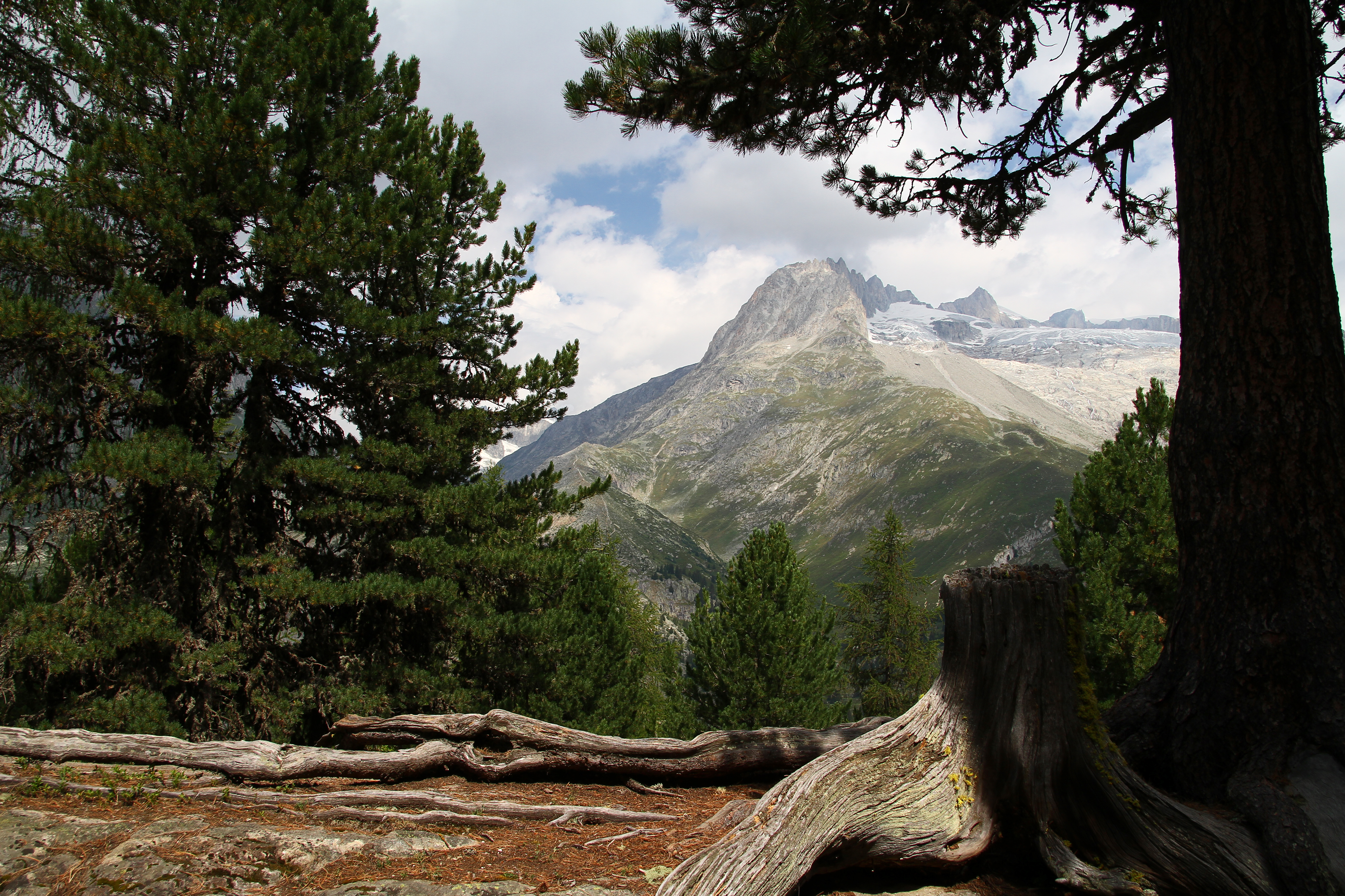 Région de Fiesch (août 2018)