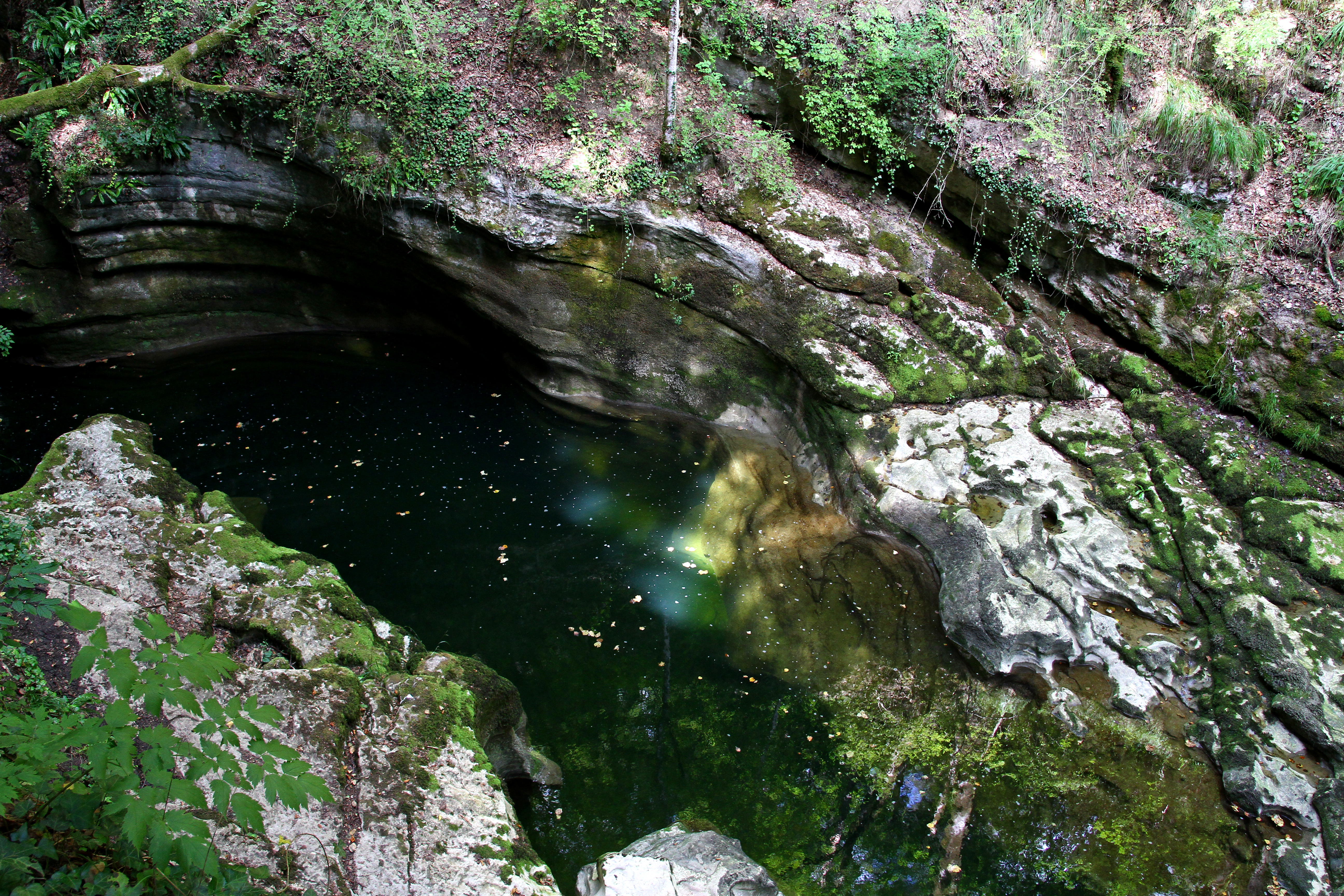 Gorges de l’Areuse (septembre 2019)
