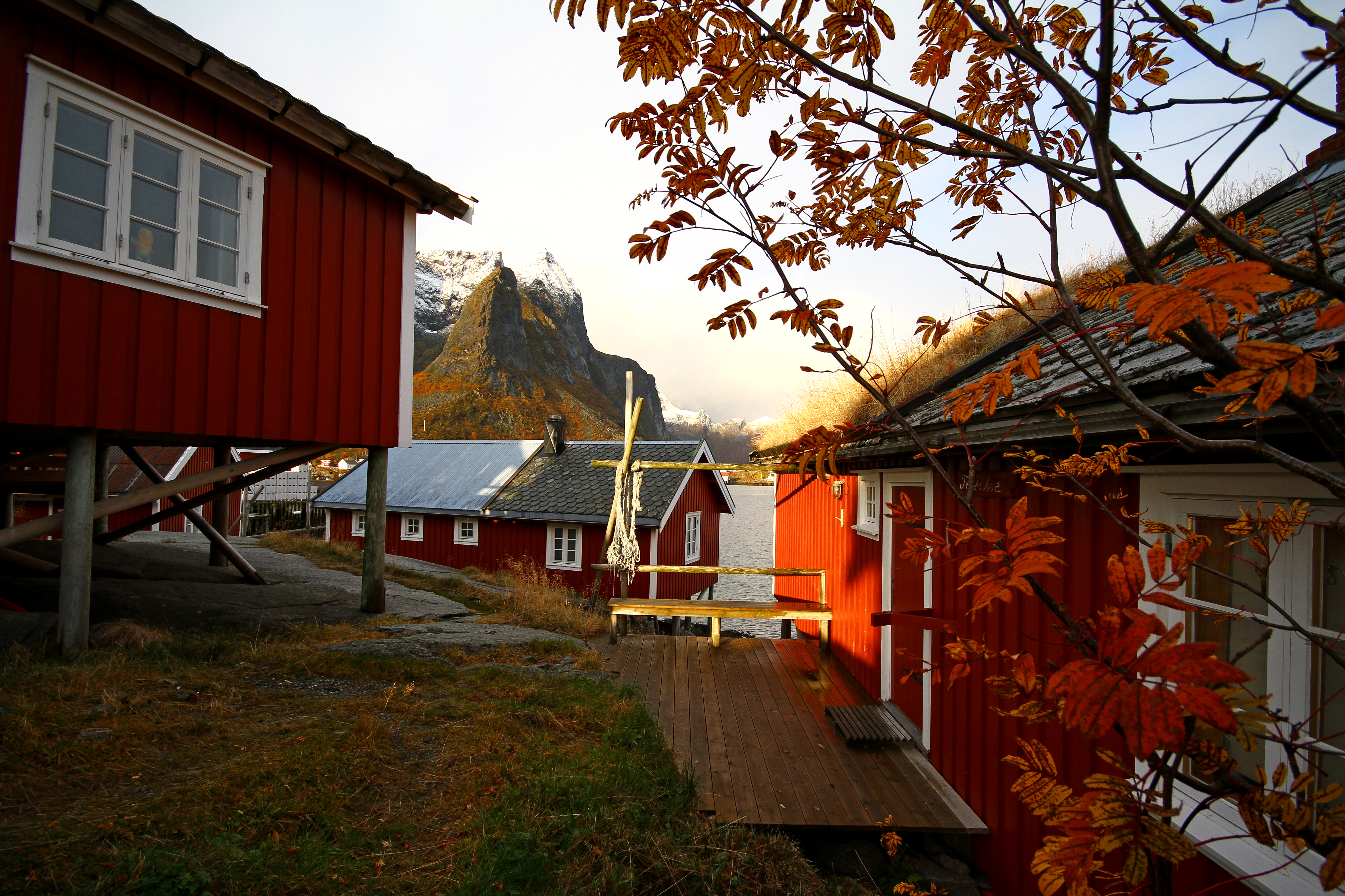 Lofoten et Vesterålen (octobre 2019)