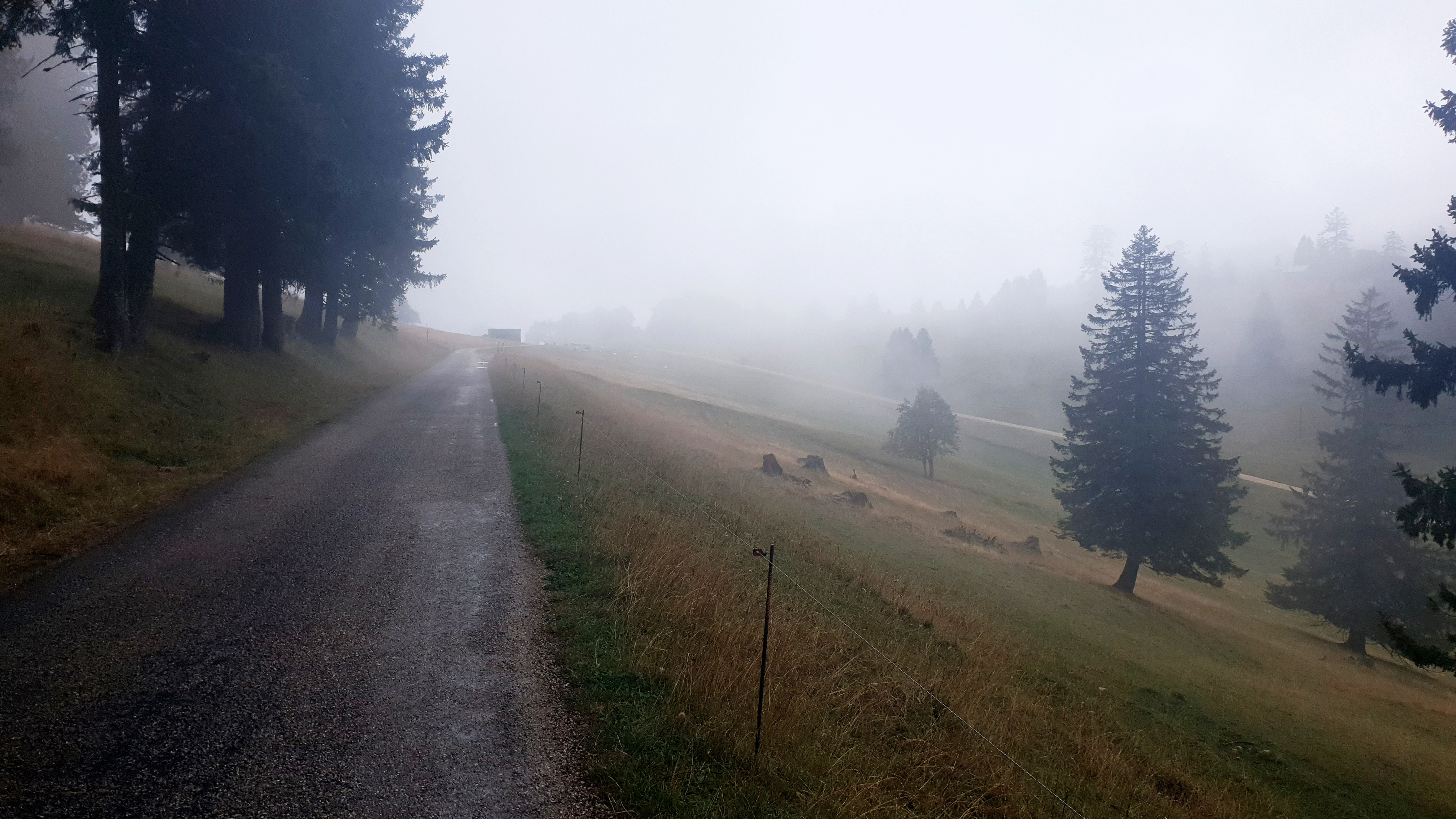 Chemin des crêtes du Jura – étape 12 (août 2020)