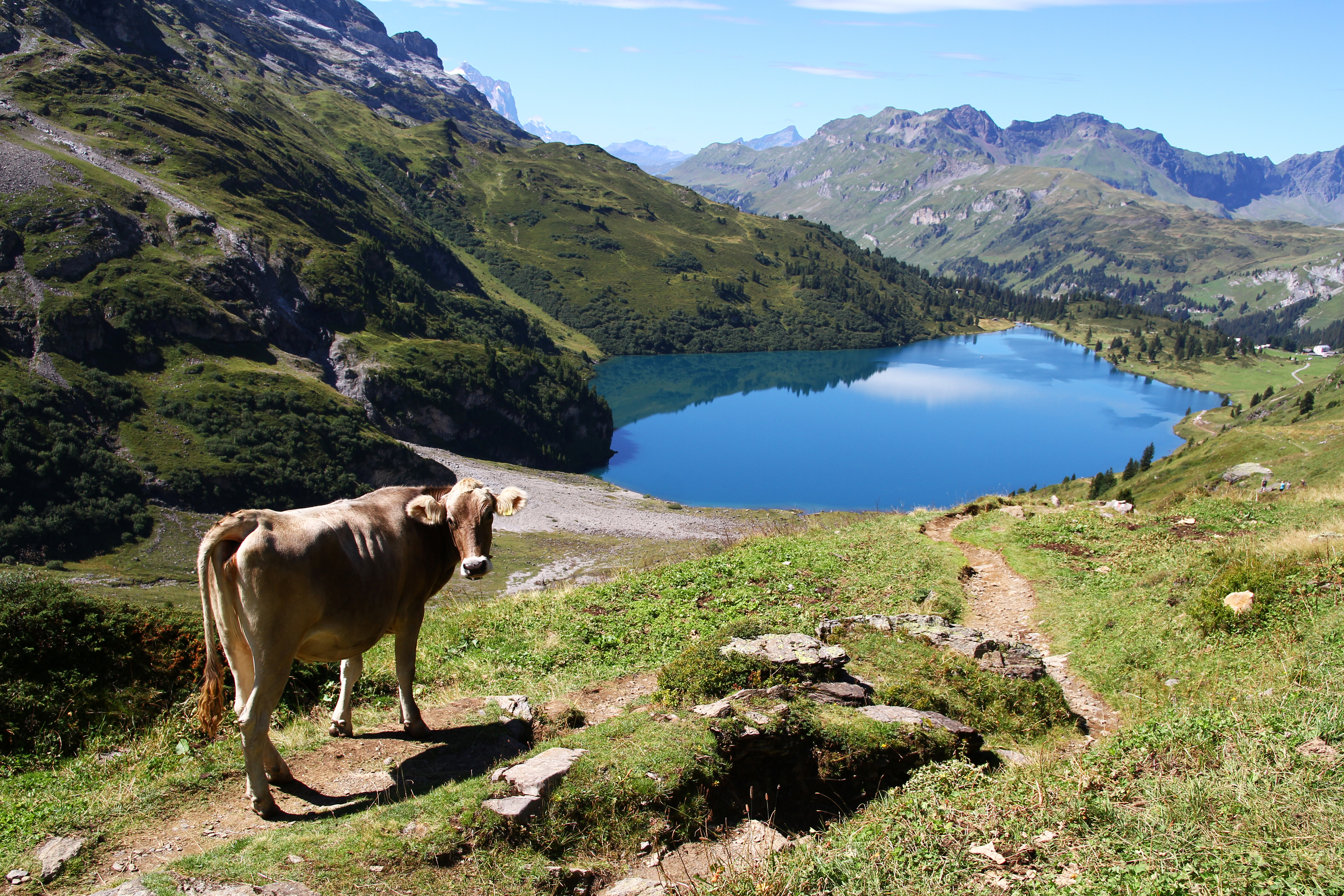 Les 4 lacs au-dessus d’Engelberg (août 2020)