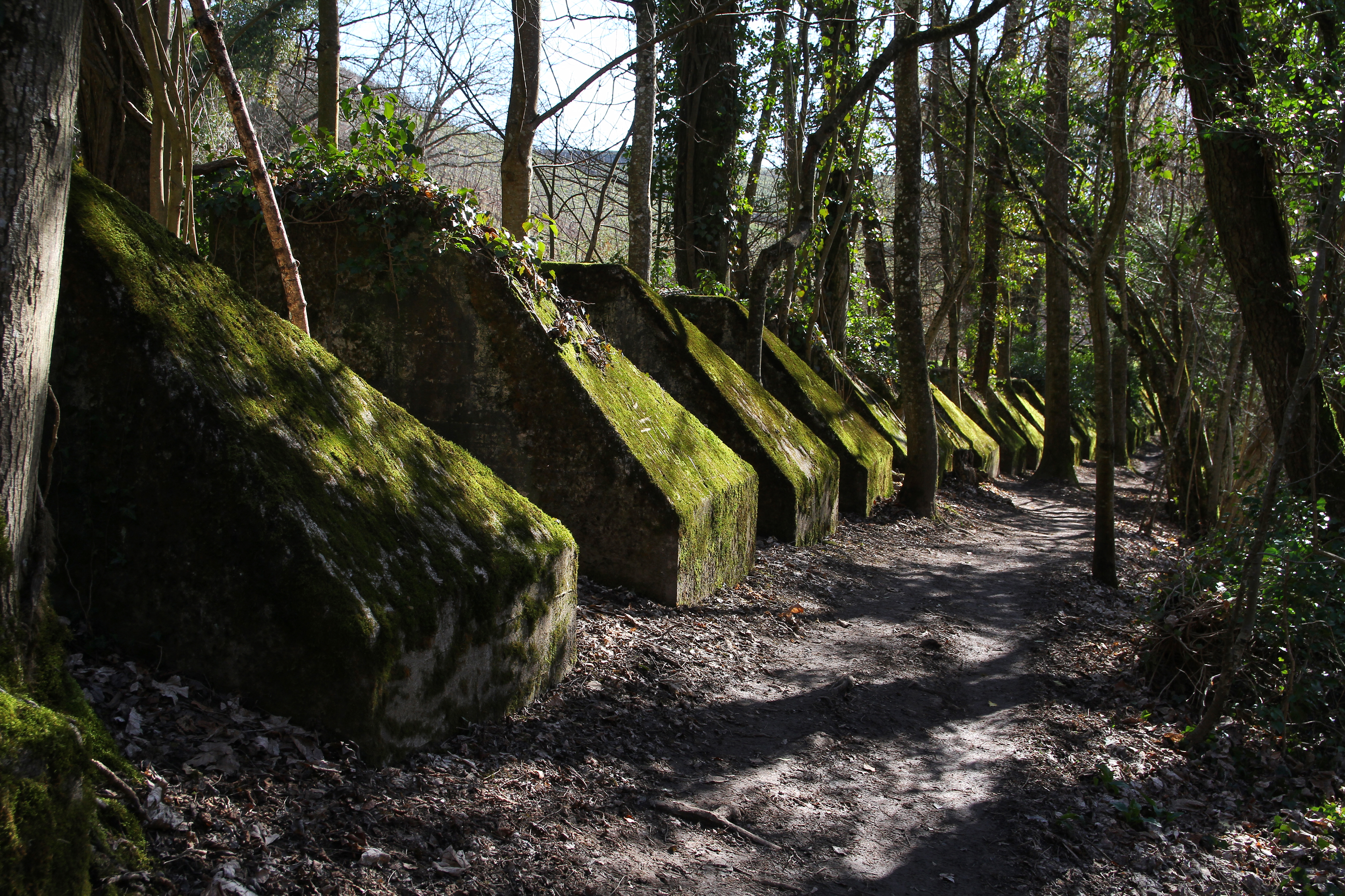 Sentier des Toblerones (février 2021)