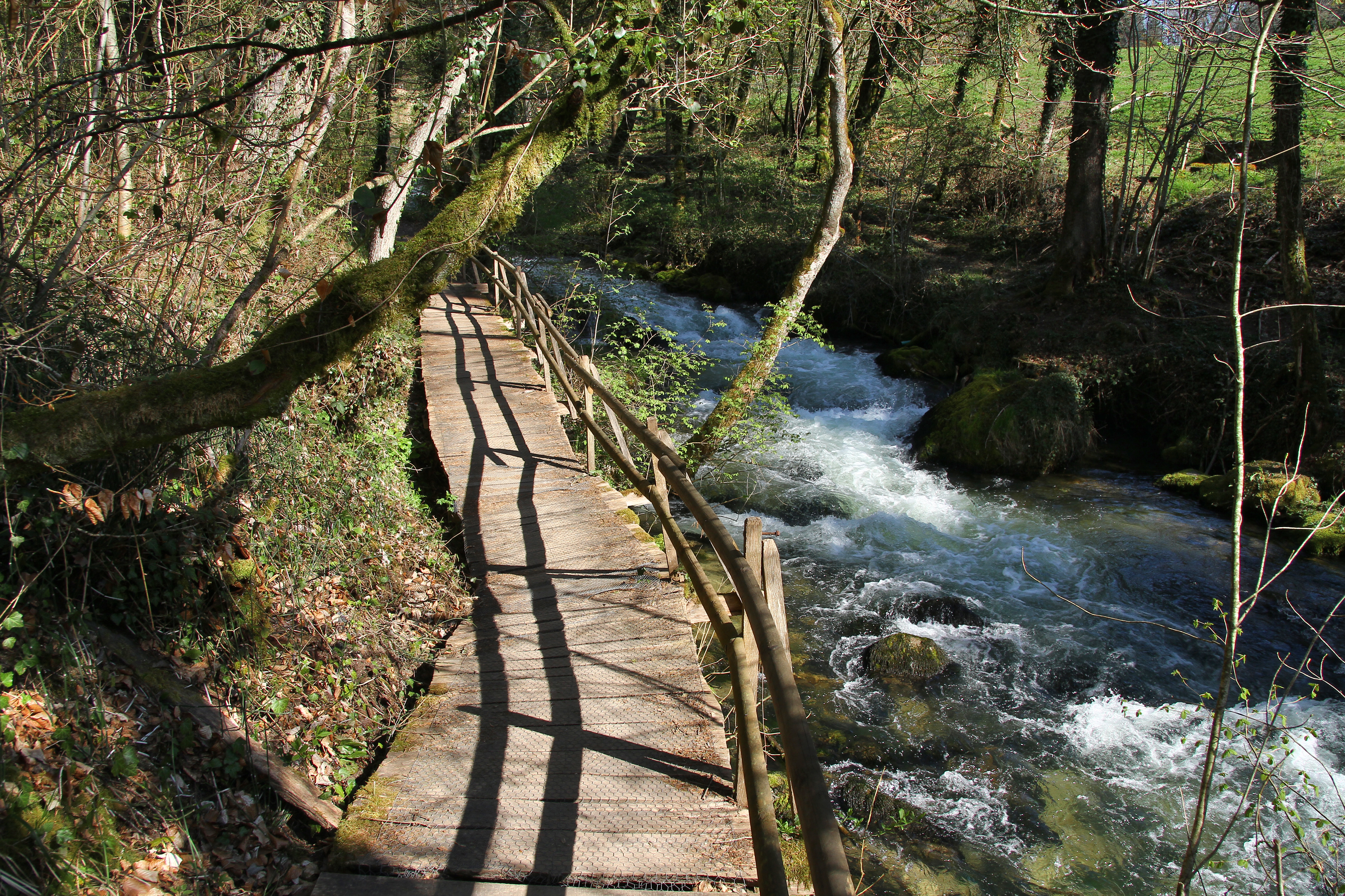 Chemin du Vallon de l’Aubonne (avril 2021)