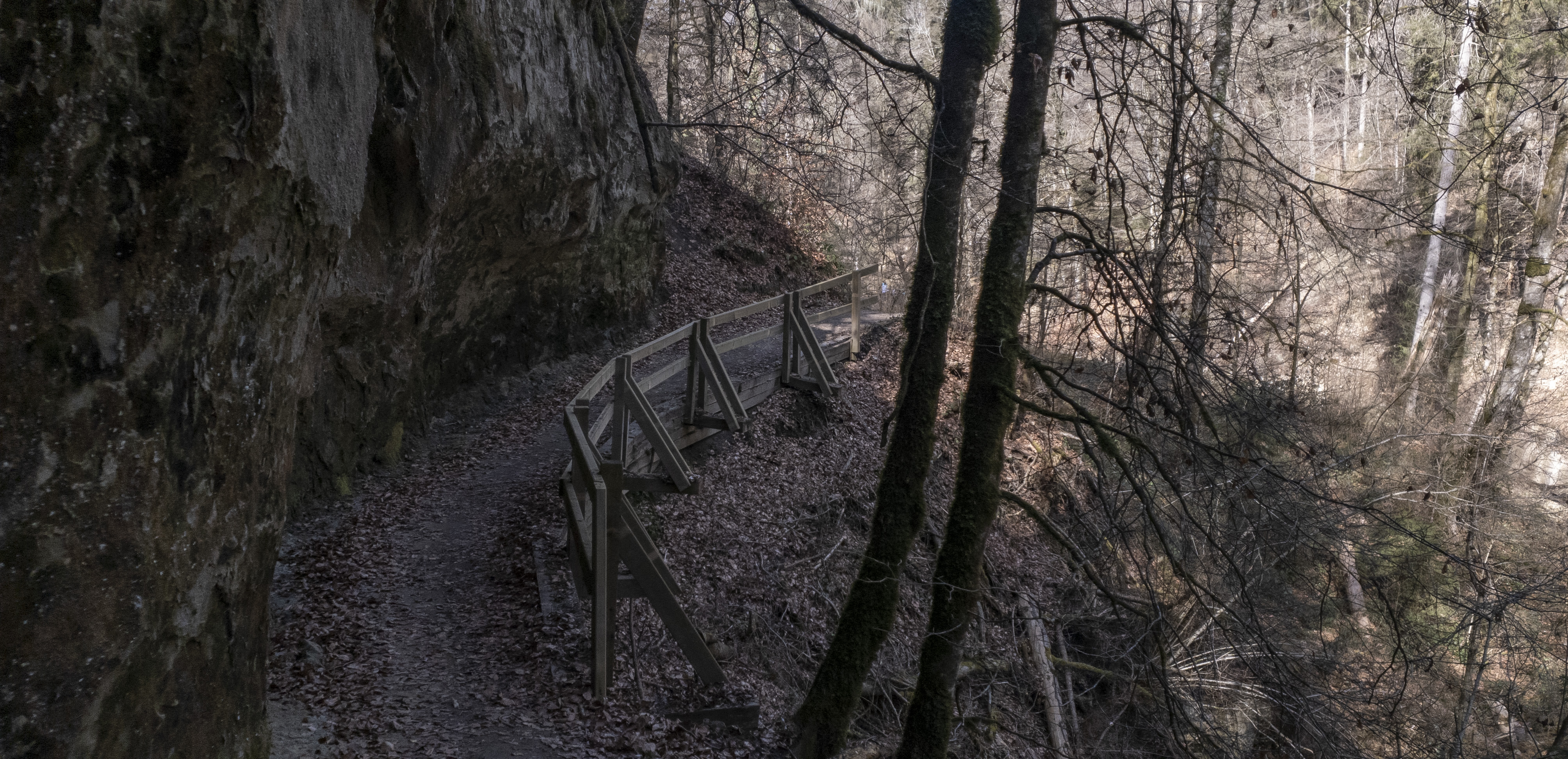 Fribourg et les gorges du Gottéron (avril 2021)