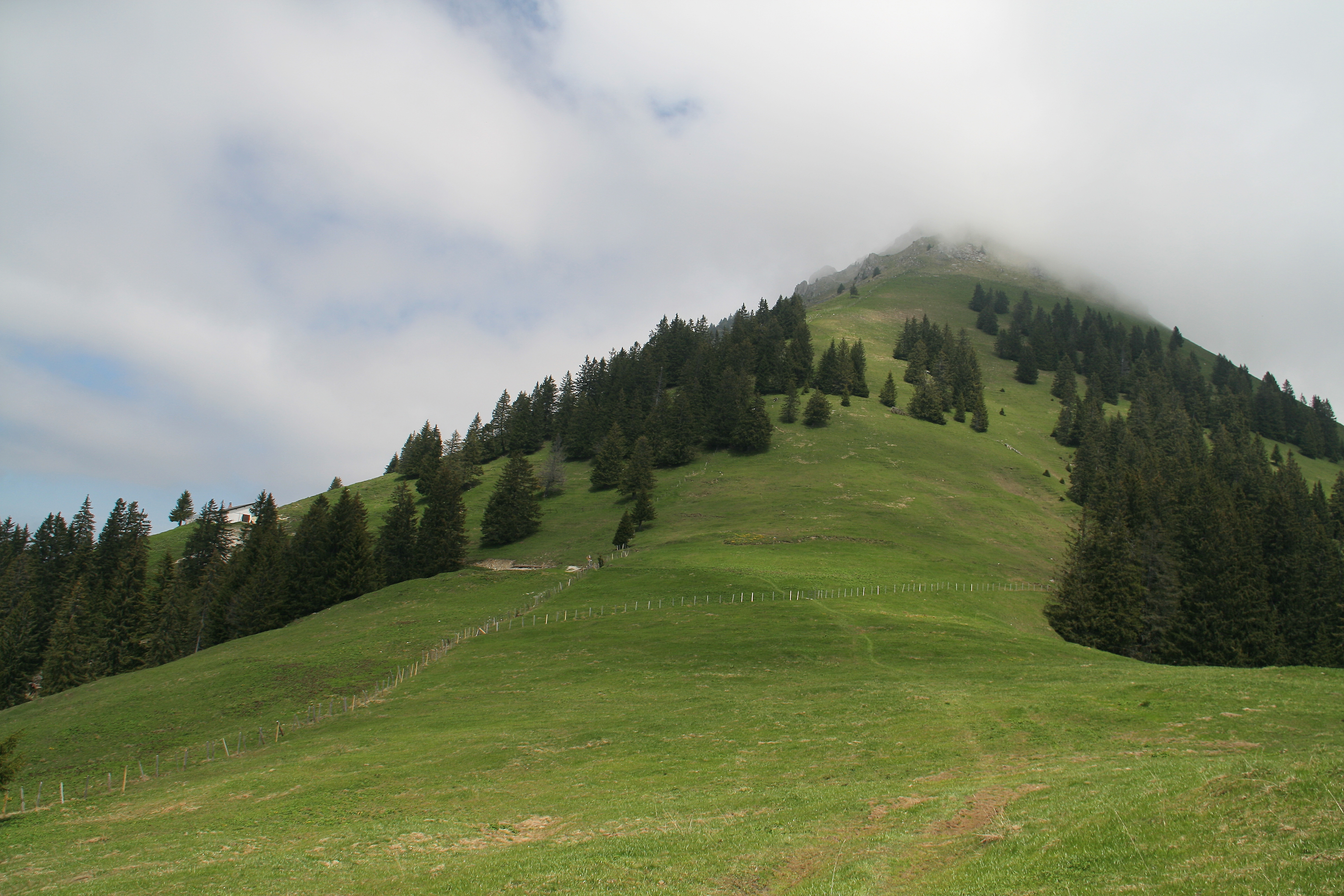 Teysachaux (juin 2013)