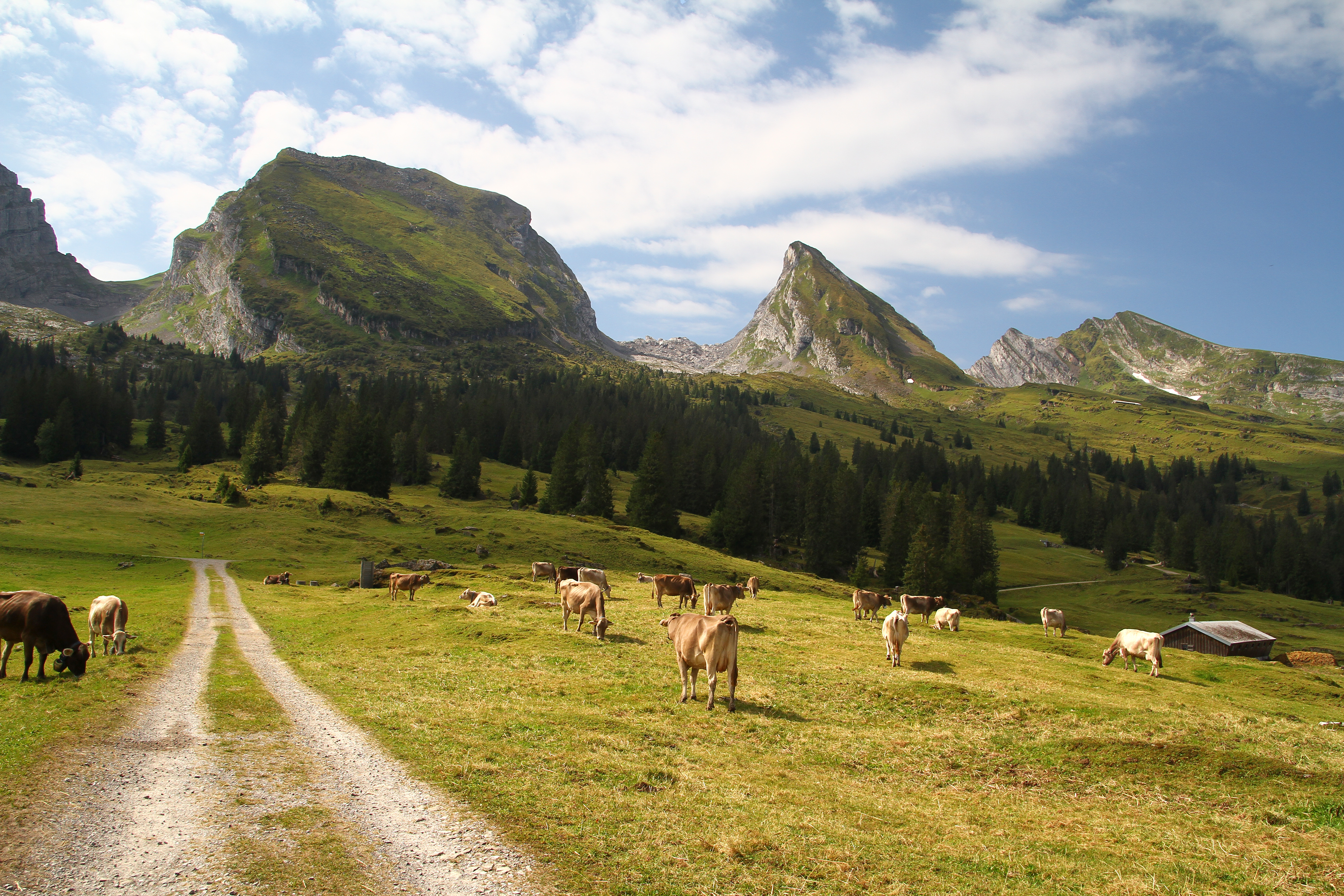Churfirsten 12-08-2021 (95)a