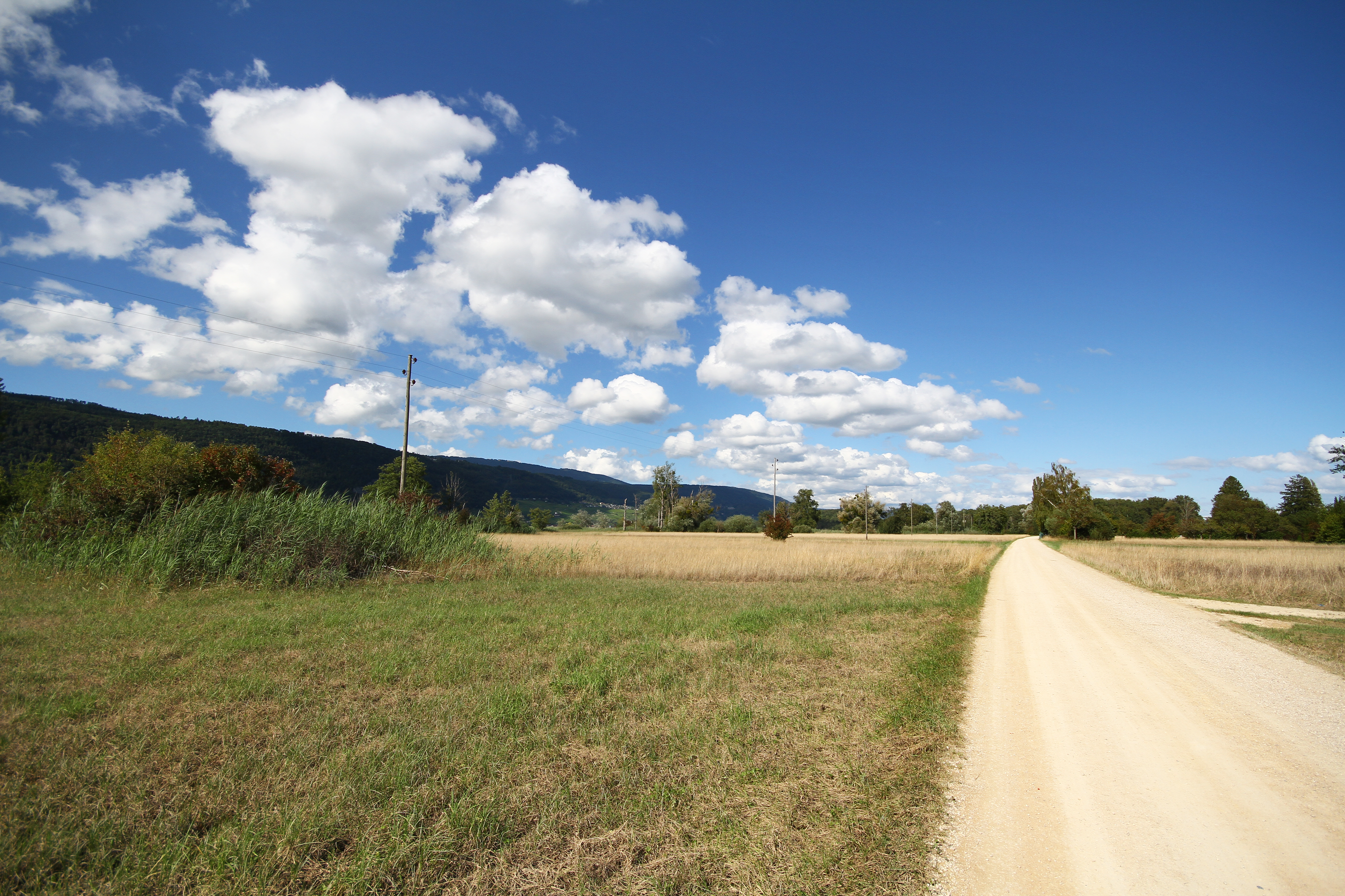 Ile St-Pierre (août 2021)