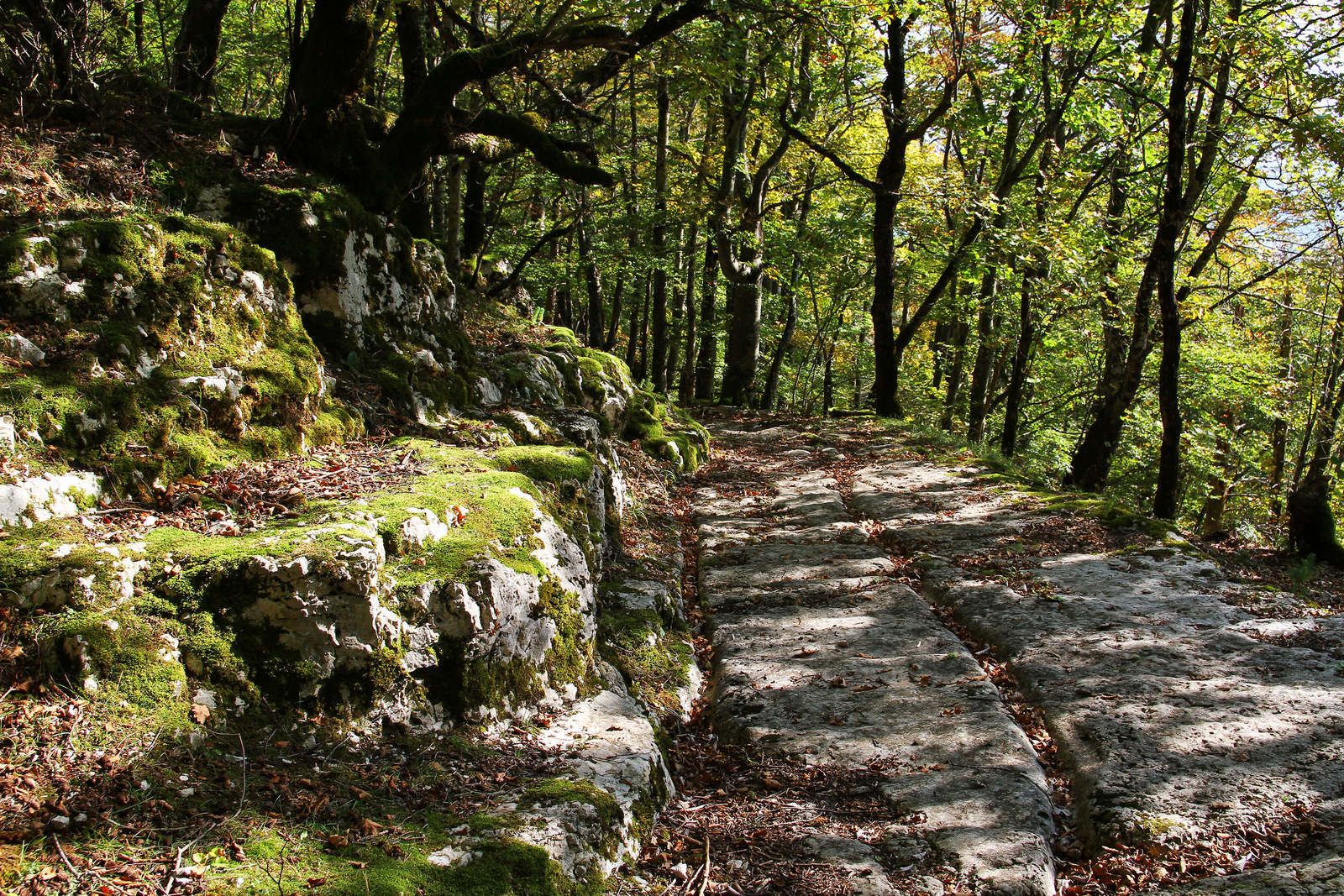 Via Salina (octobre 2021)