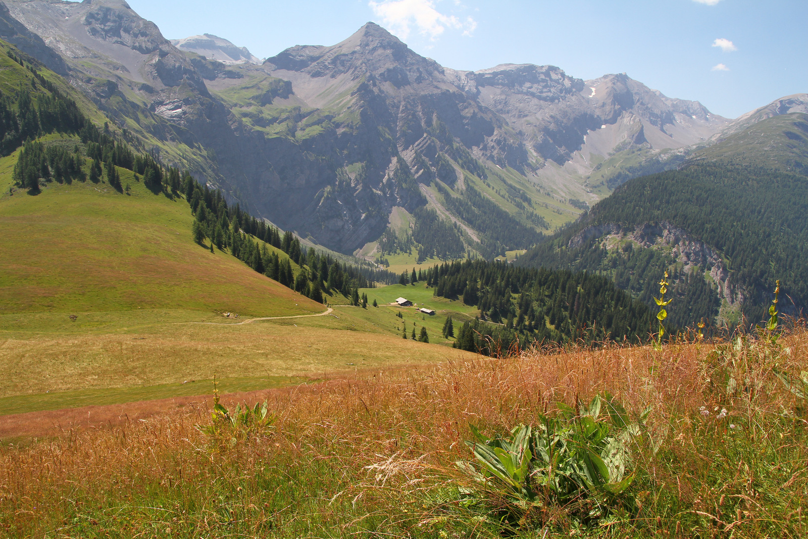Siebenbrunnen Weg (juillet 2022)