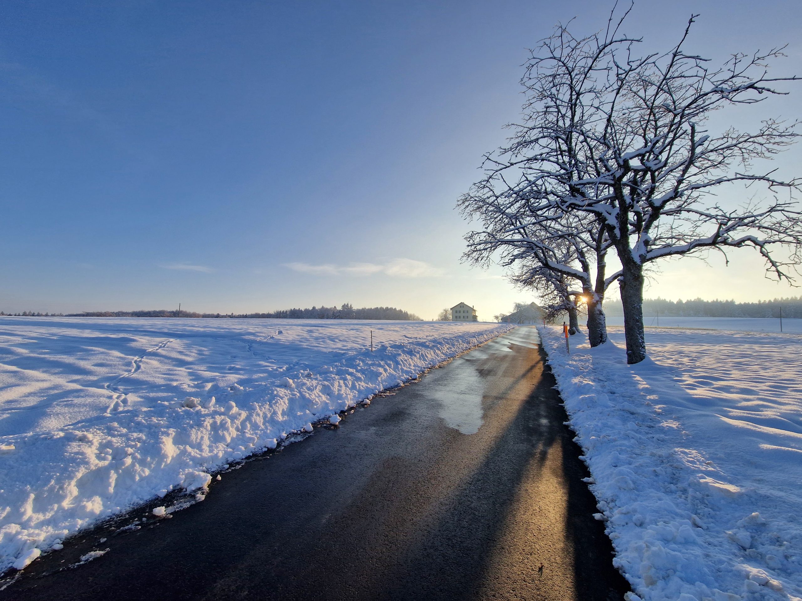 Promenade hivernale du côté de Riau-Graubon (décembre 2022)