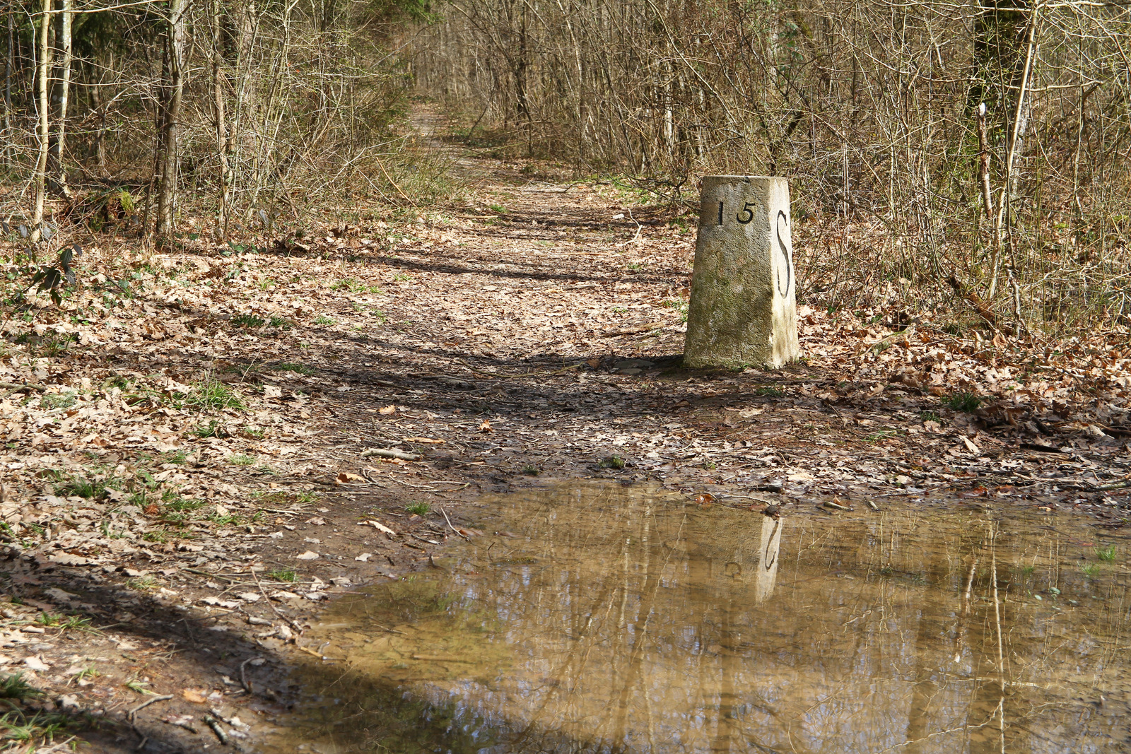 Far West du canton de Genève (mars 2023)