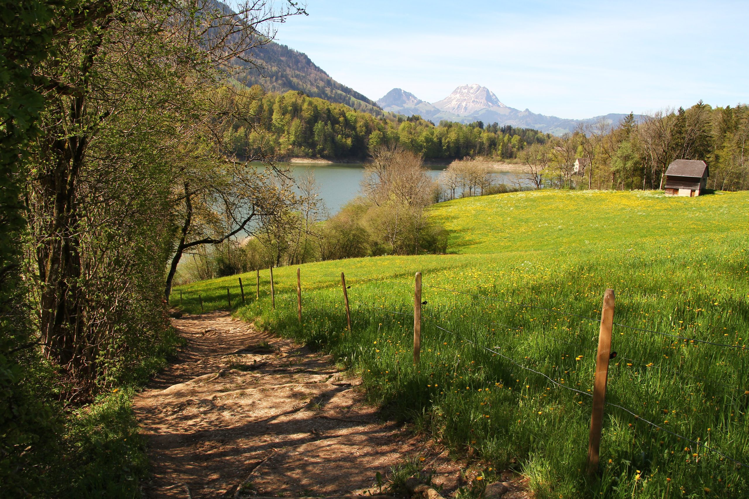 Chemin du Gruyères (mai 2023)