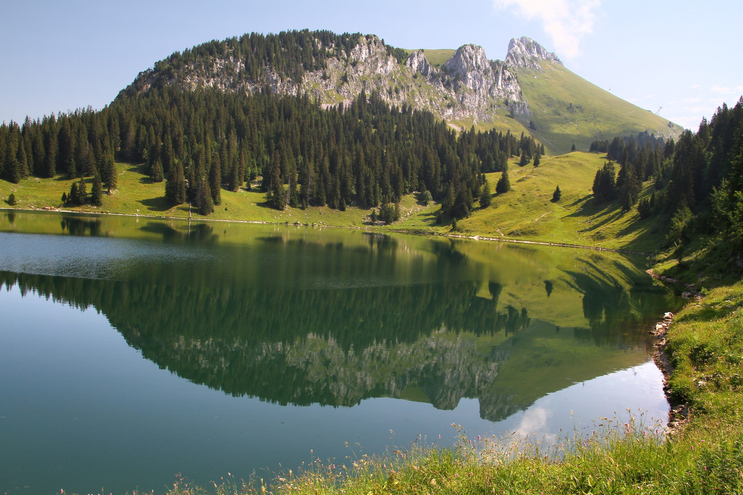 Stockhorn (juillet 2023)
