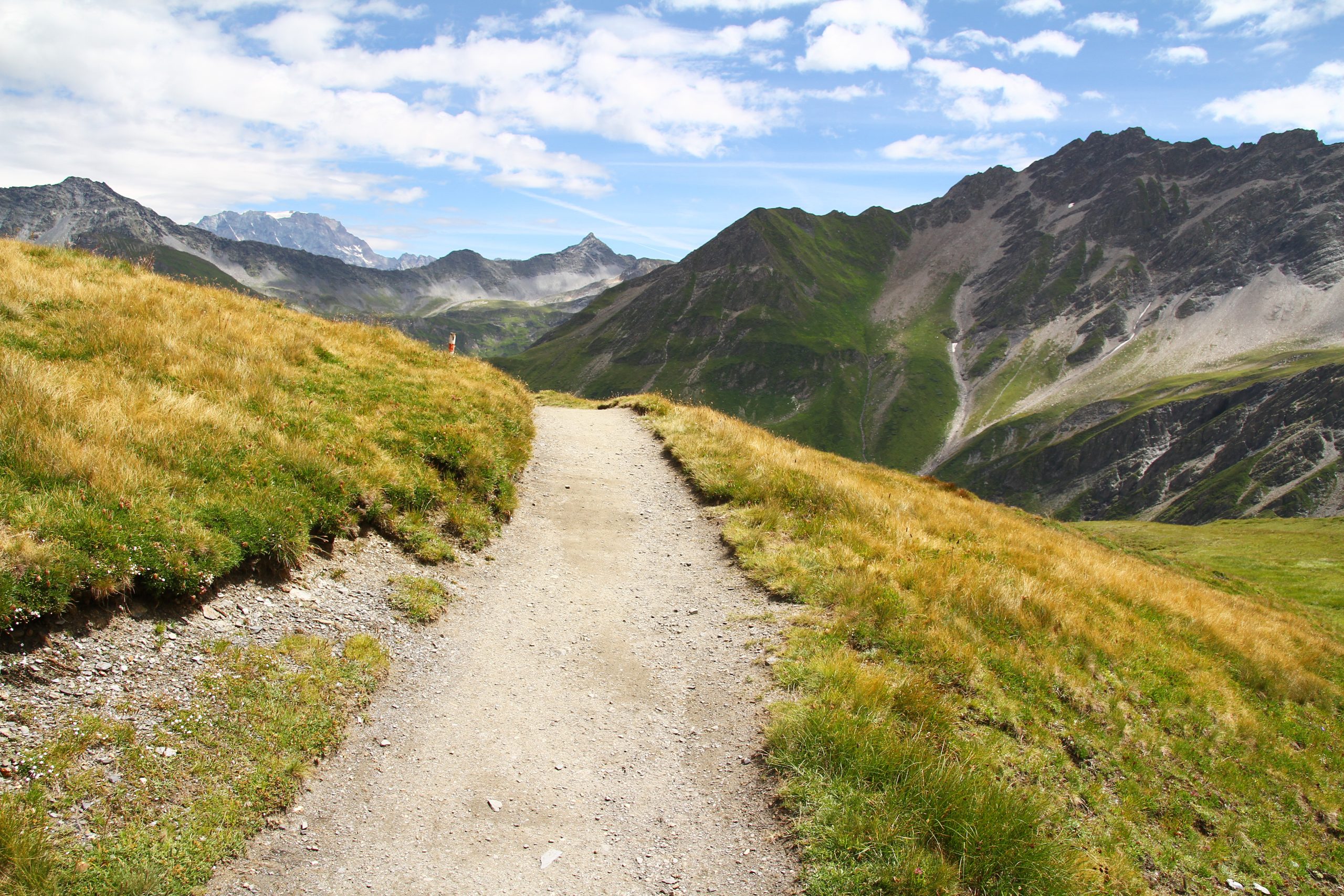 Val Ferret (juillet 2023)