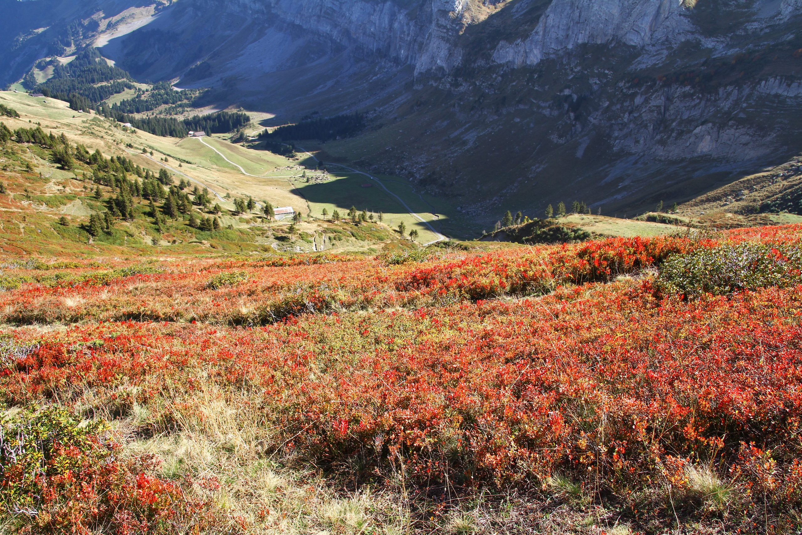 col de Cou (octobre 2023)