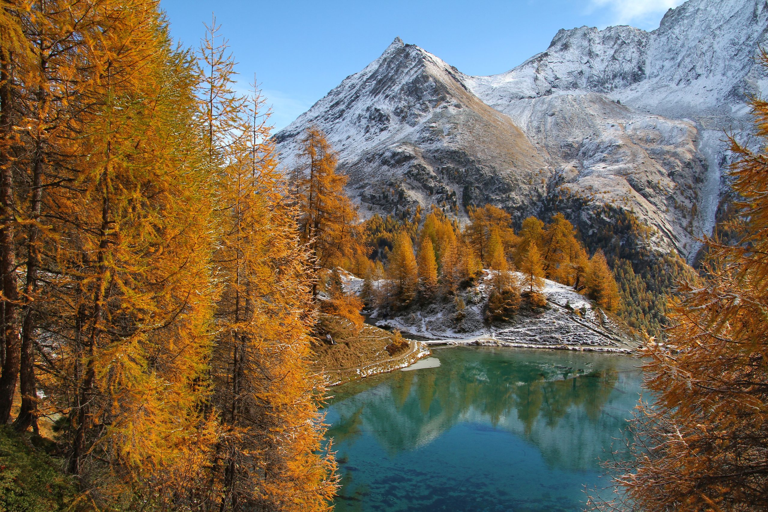 Mélèzes dans le val d’Hérens (octobre 2023)