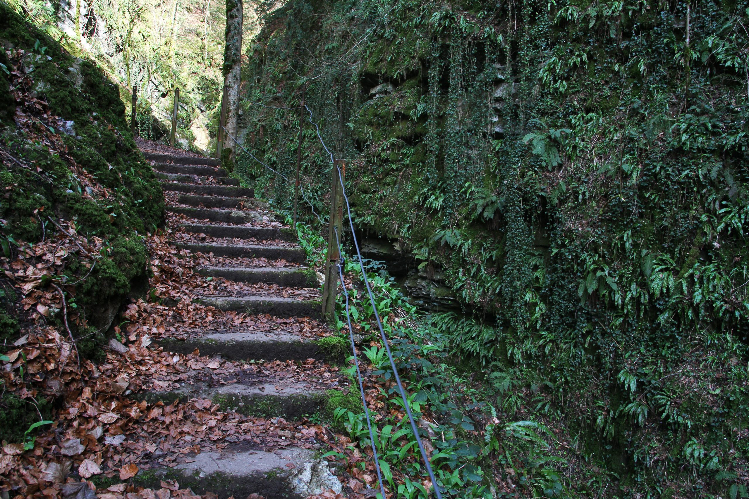 Gorges du Chauderon (février 2024)