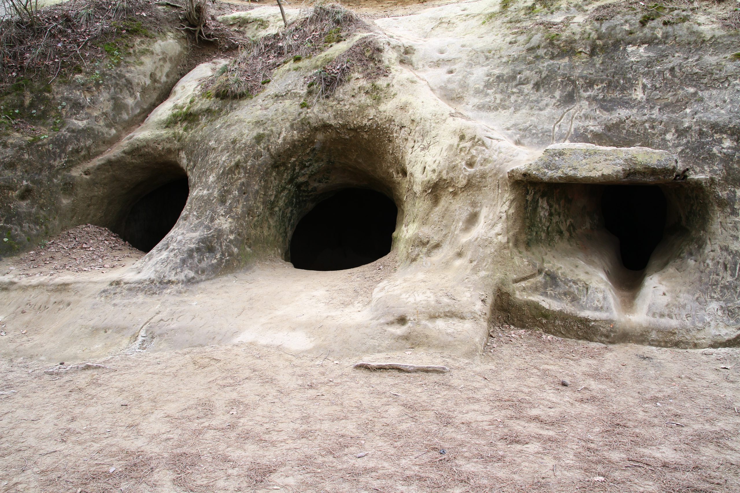 Sentier historique du Vully (février 2024)