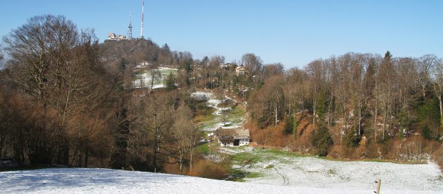 sur les hauteurs du lac de Zürich (mars 2024)