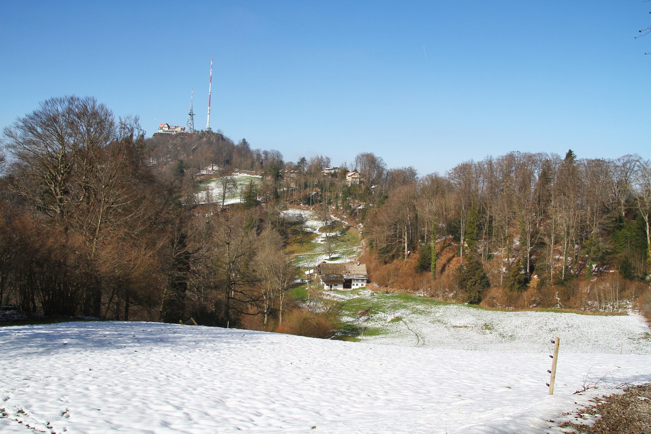 sur les hauteurs du lac de Zürich (mars 2024)