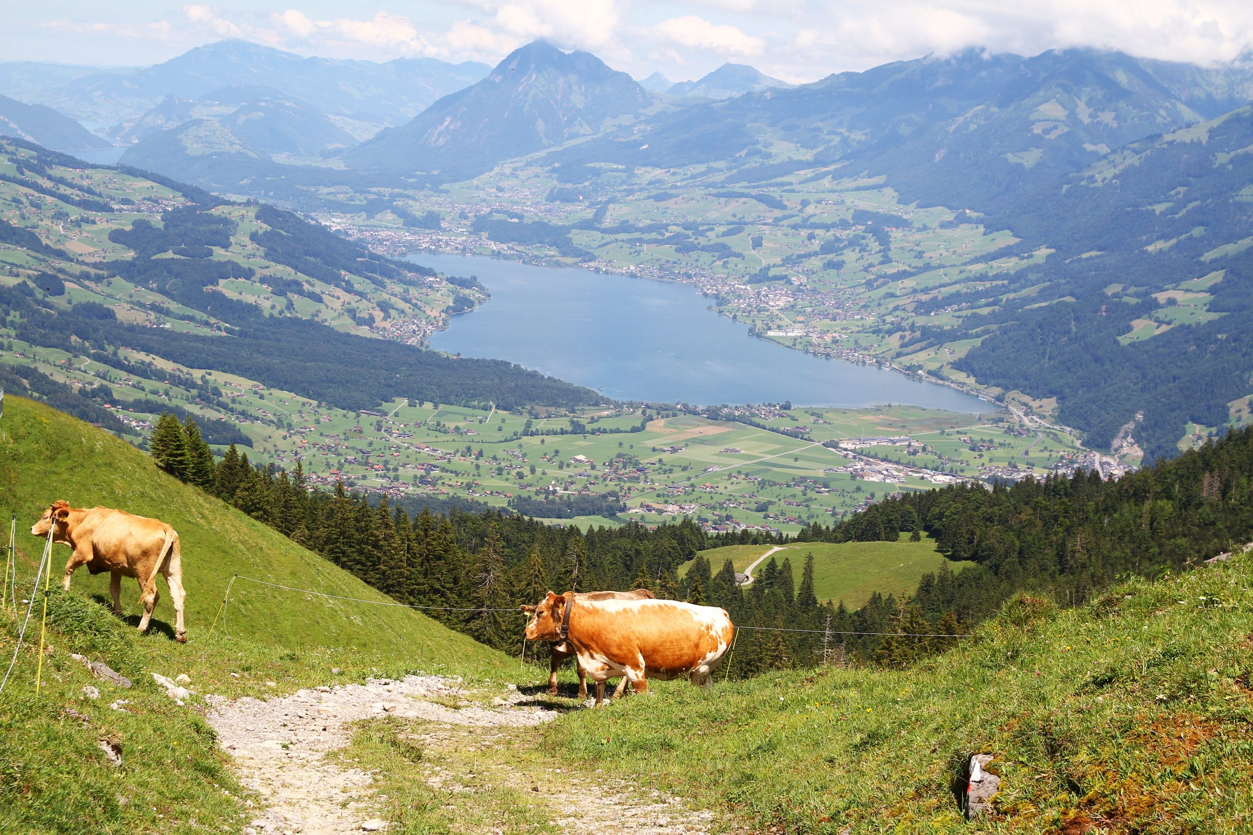 tour du Giswilerstock (juillet 2024)