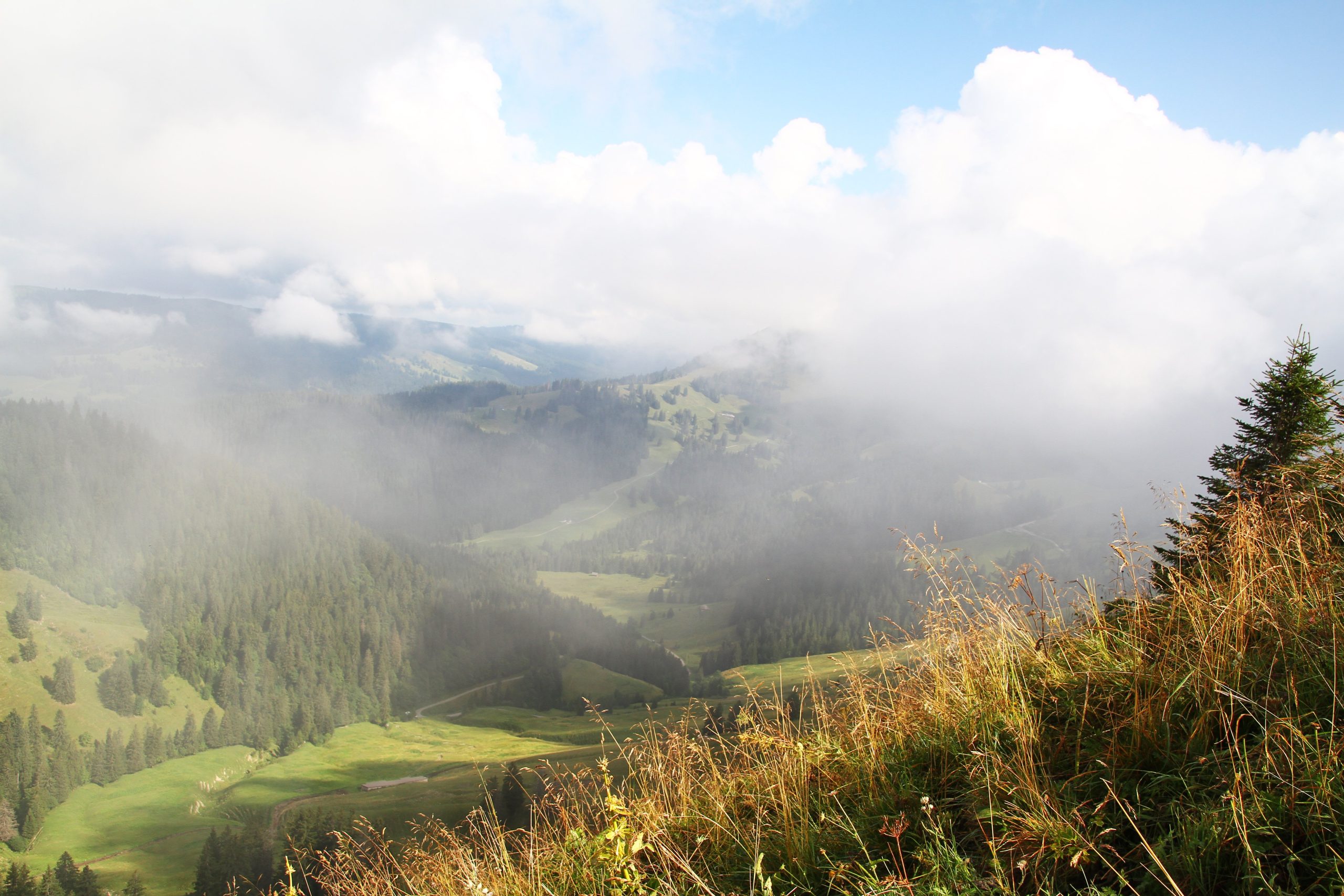 Col de Lys (août 2024)