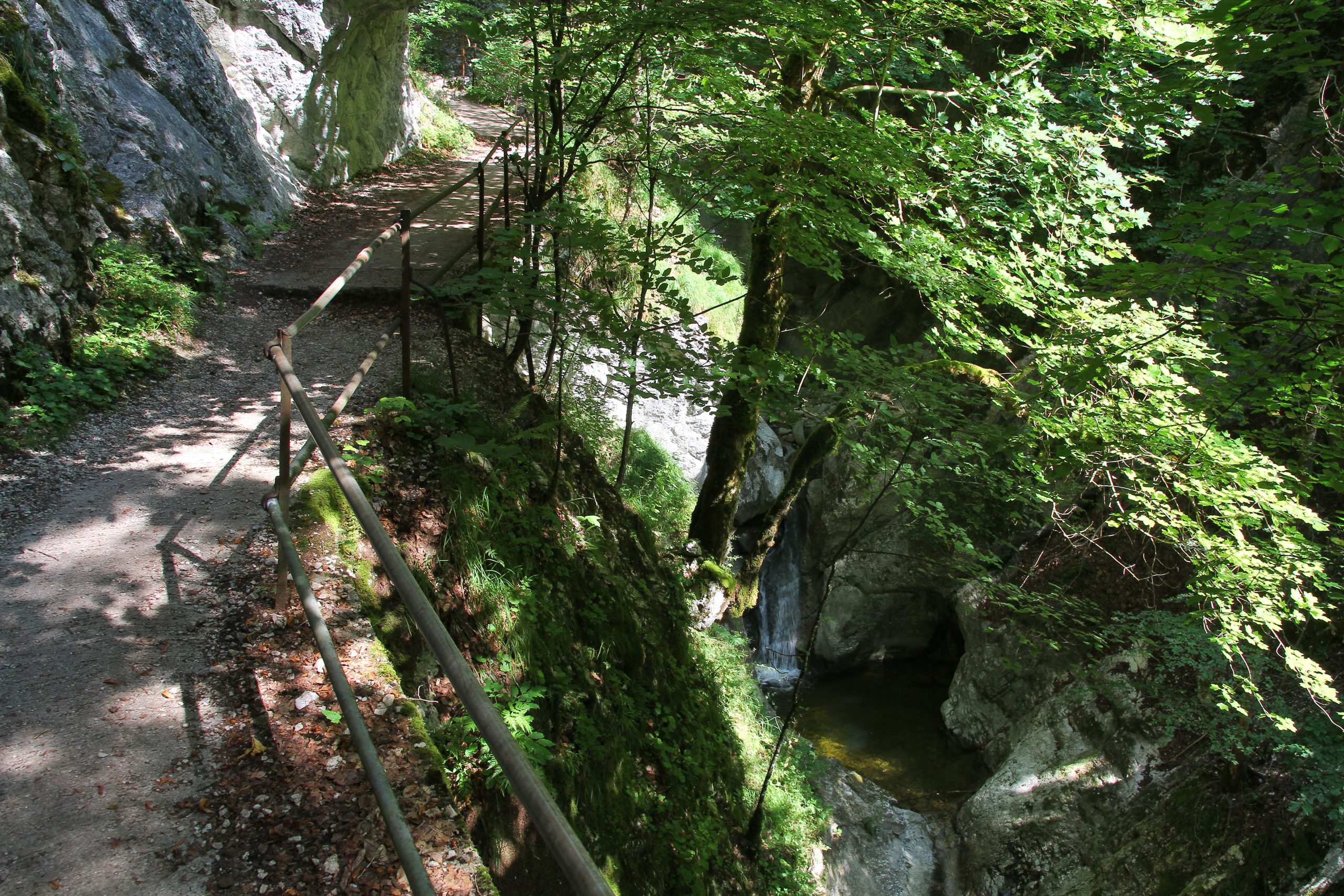 Gorges de Covatannaz (août 2024)