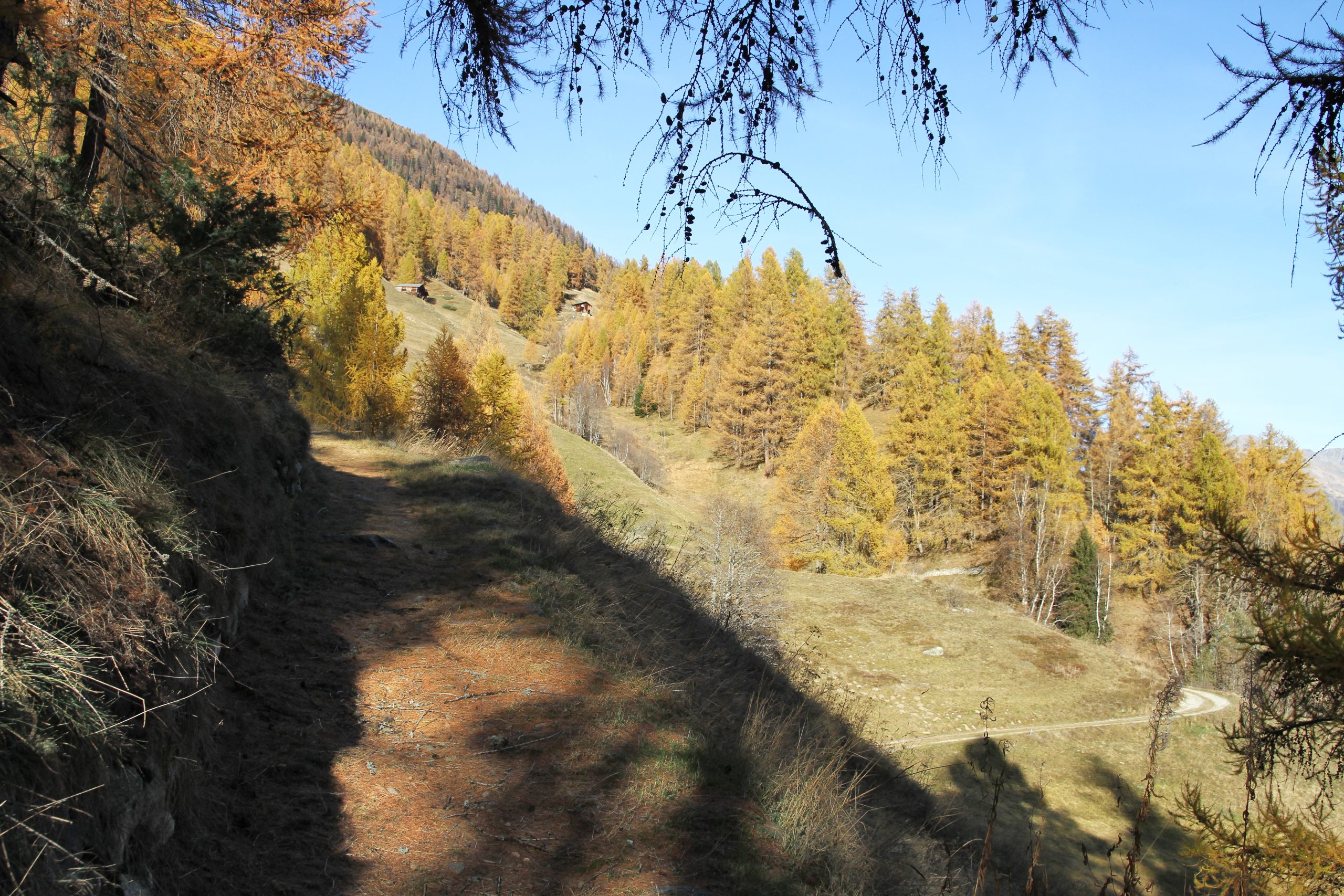 Gommer Höhenweg (novembre 2024)