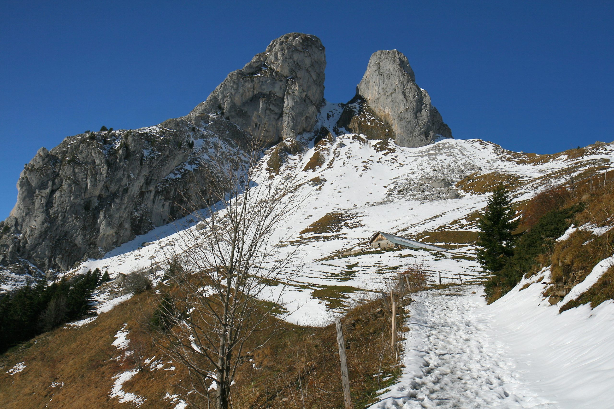 Grammont (novembre 2013)