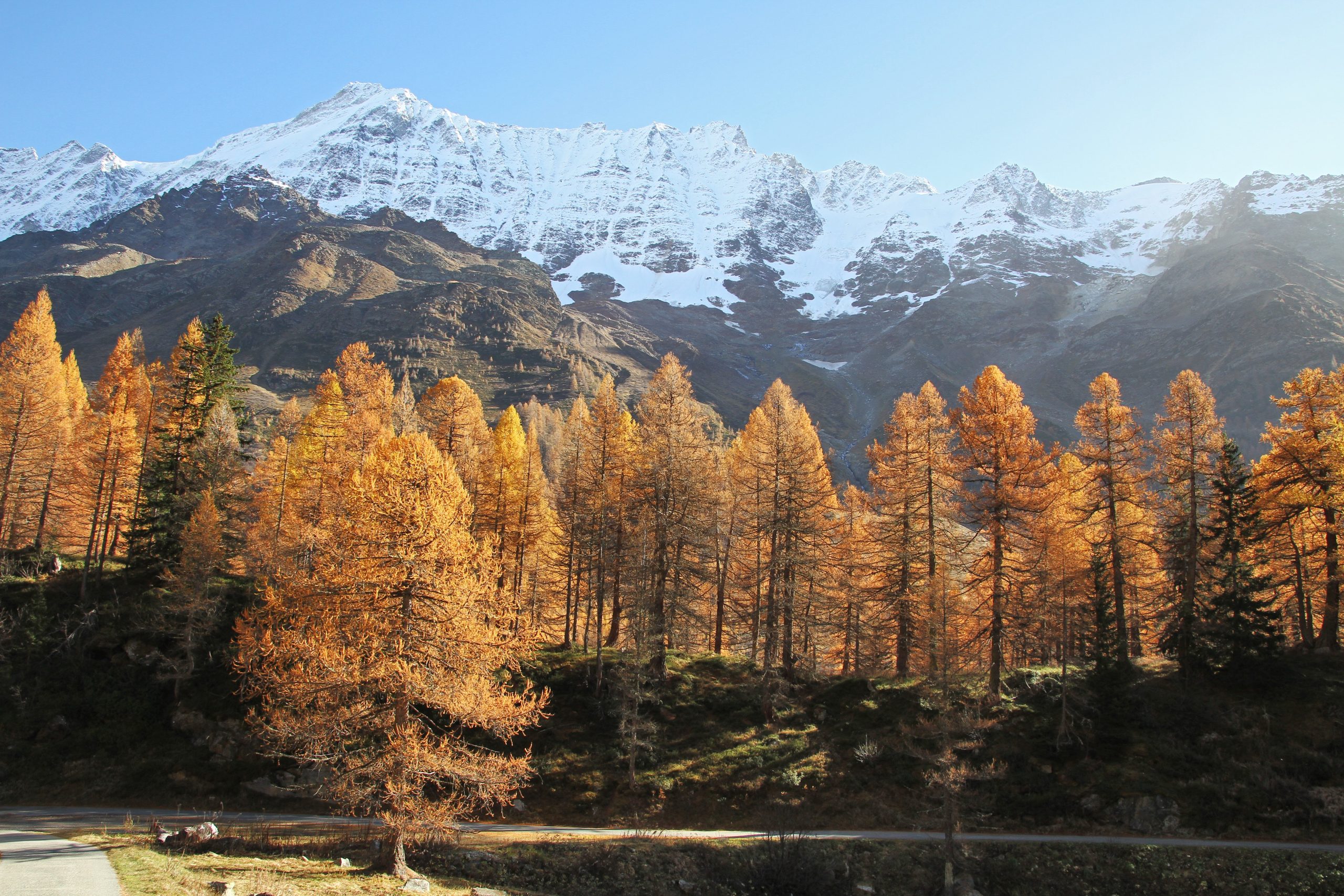 Lötschental (novembre 2024)