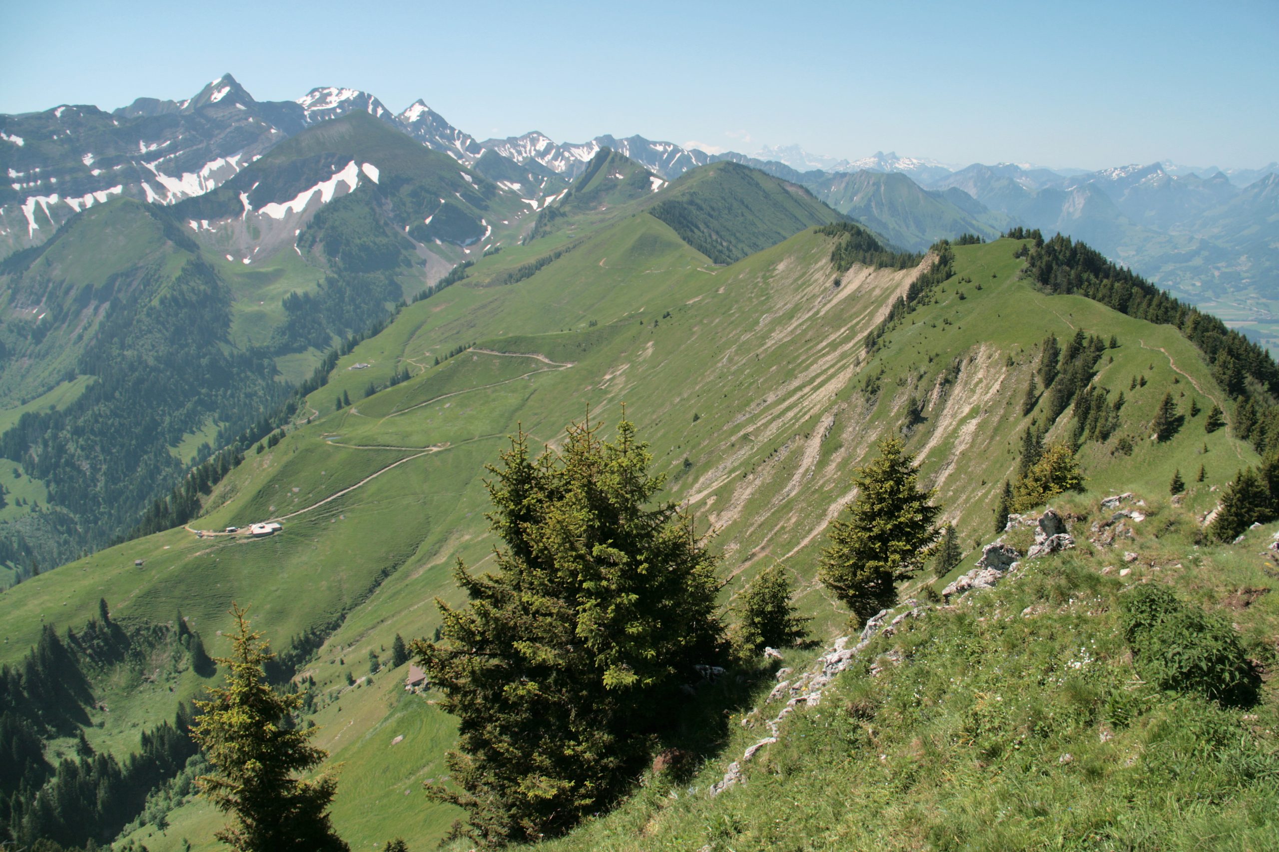 Dent de Bourgo (juin 2012)