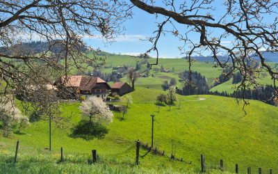 Sagenroute Gantrisch (avril 2025)