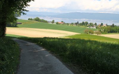 Collines de la Broye (mai 2025)