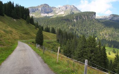 Tour du Hohgant (août 2025)