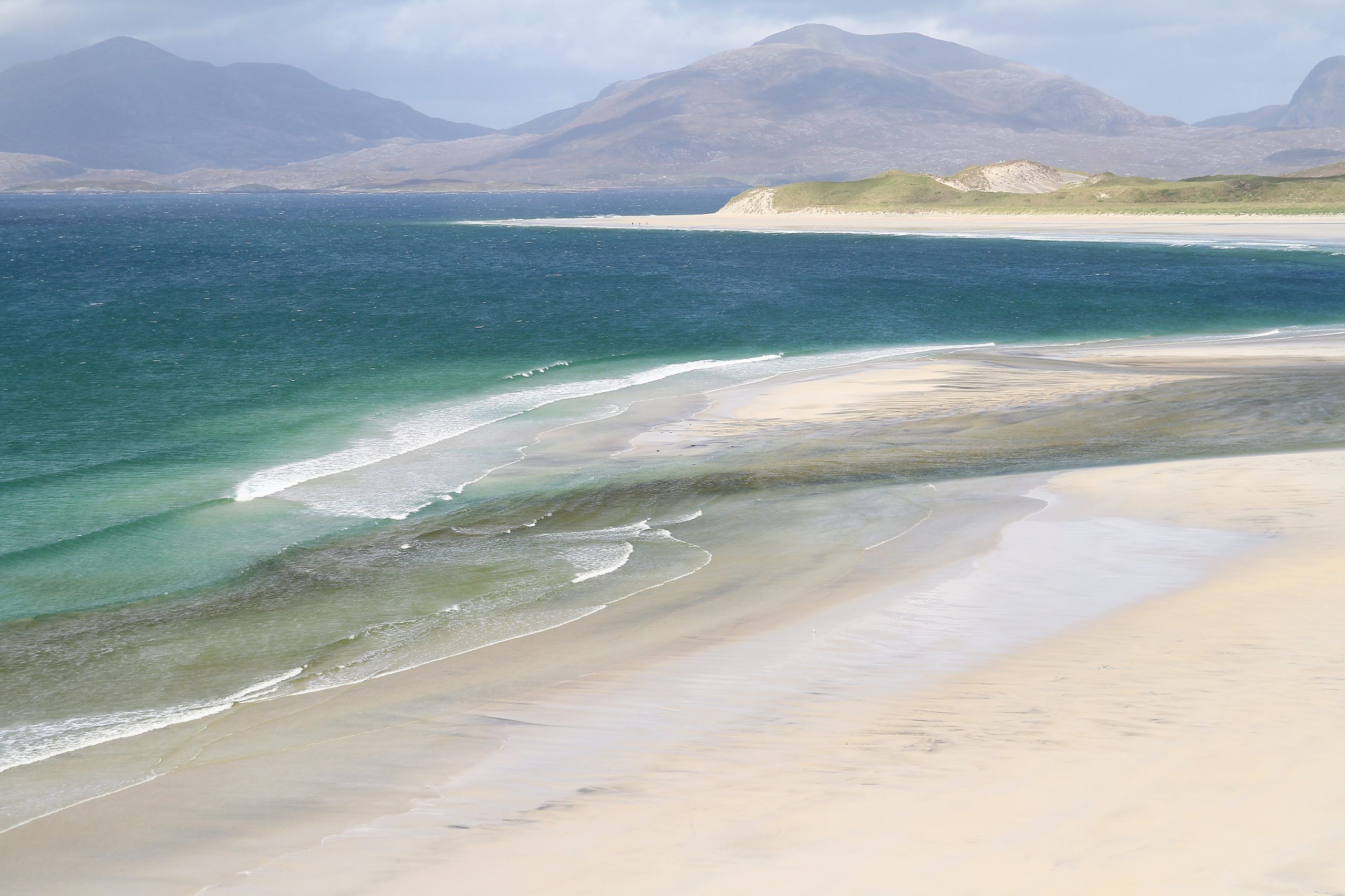 Ecosse 08-09-2025 (628)a
