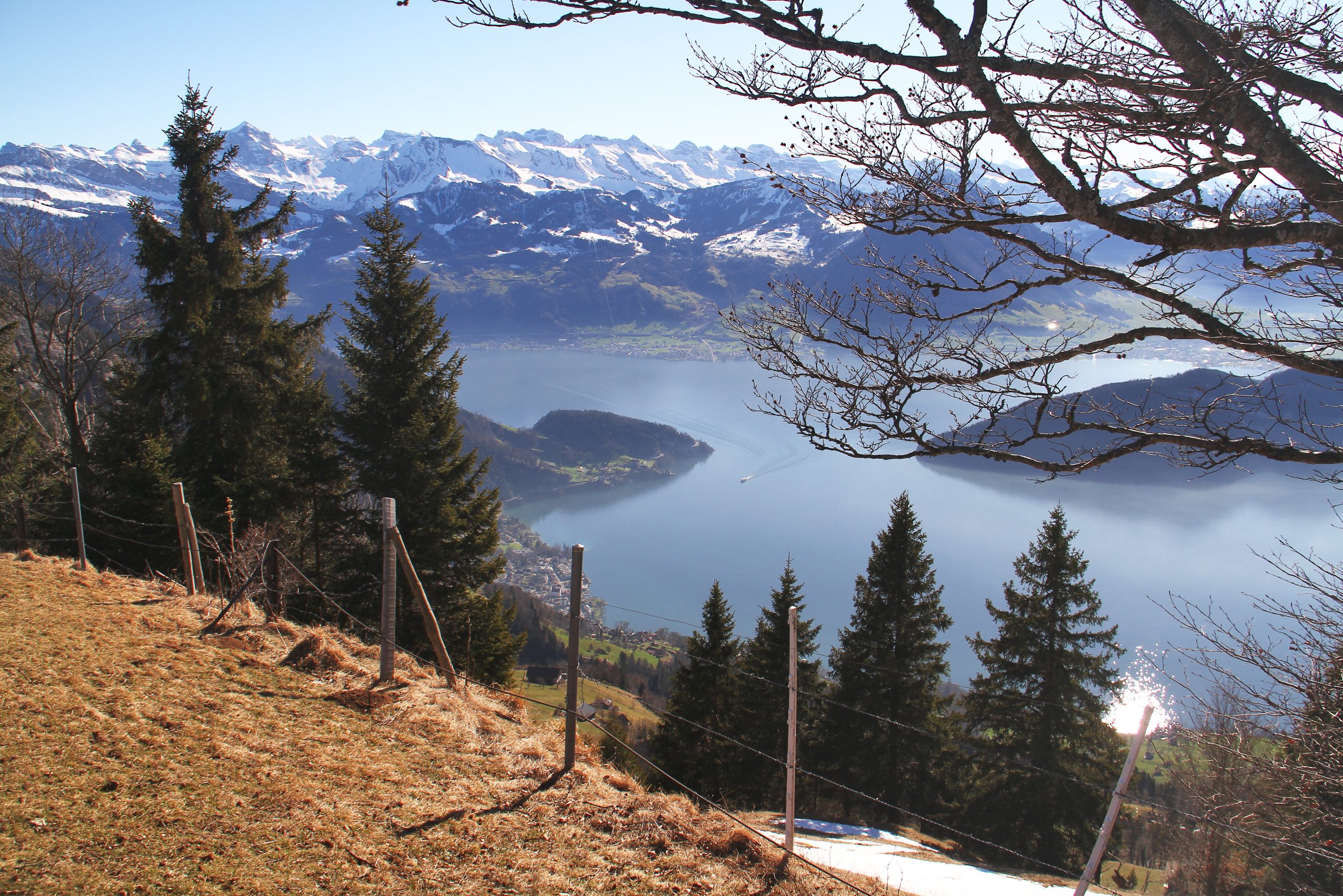 Rigi 25-02-2026 (190)a