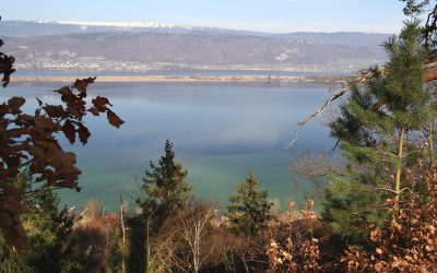 Seeland-Solothurn-Weg – étape 1 (mars 2026)