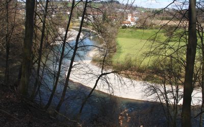 Engehalbinsel Bern Rundweg (avril 2026)