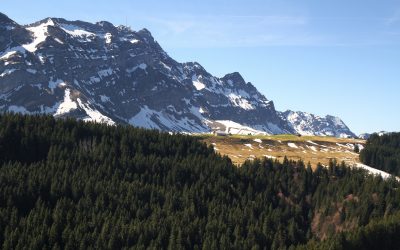 Kronberg (avril 2026)