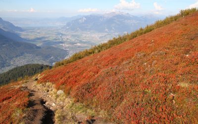 Dent de Valerette (octobre 2026)