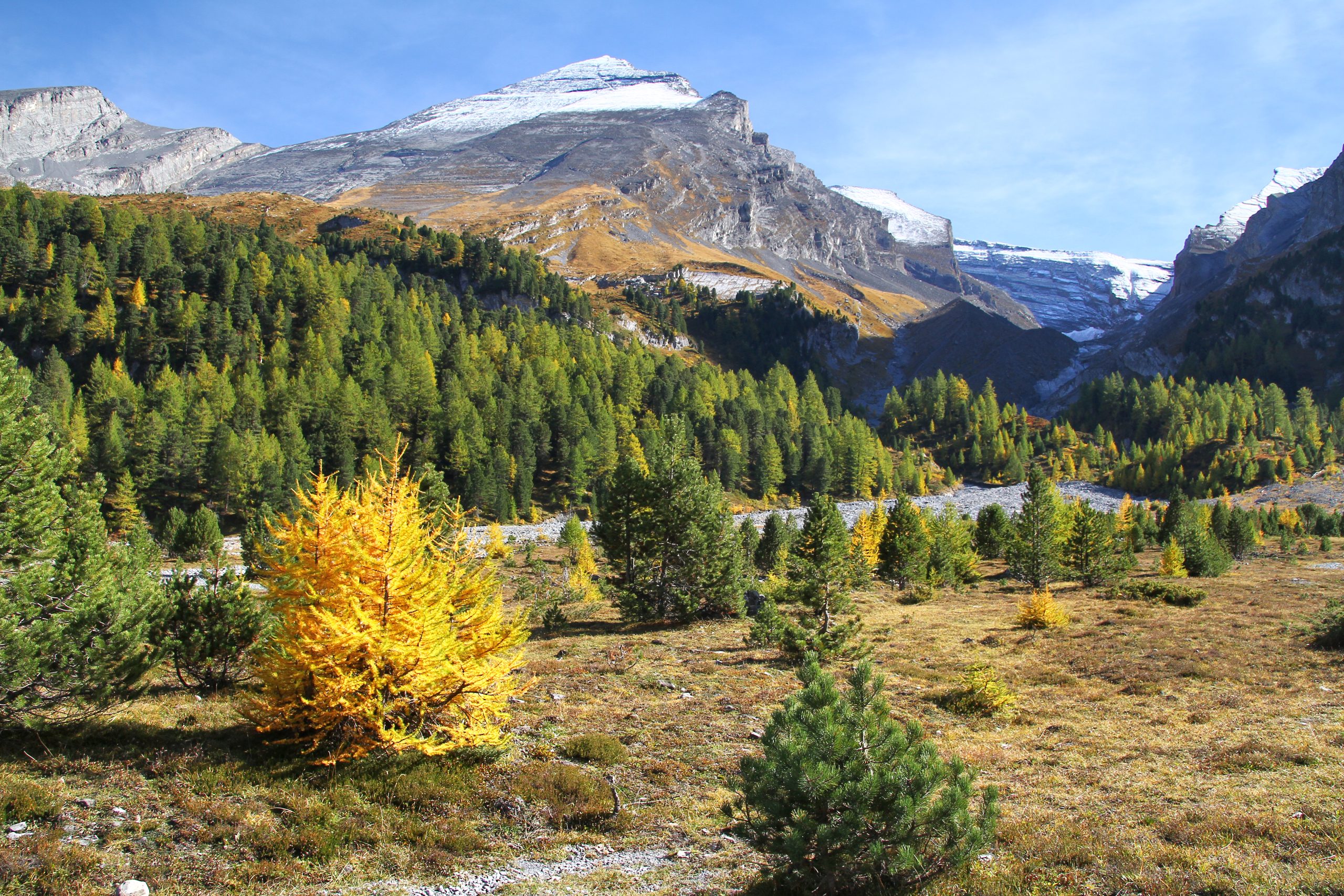 Gemmi – Sunnbüel 15-10-2026 (341)a