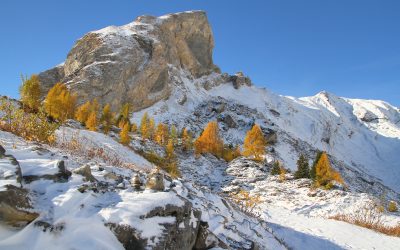 mélèzes au-dessus d’Ovronnaz (octobre 2026)